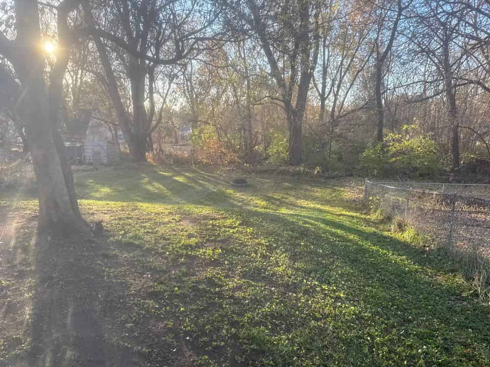 Spring & Fall Clean-Up image