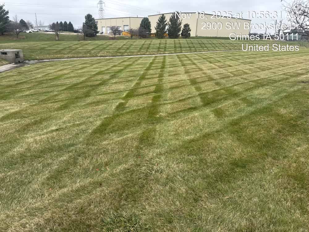 Landscape Design image