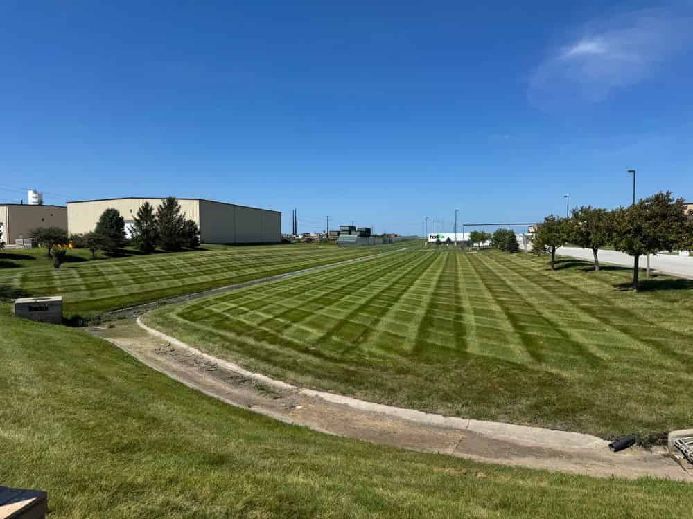 Commercial Lawn Mowing image