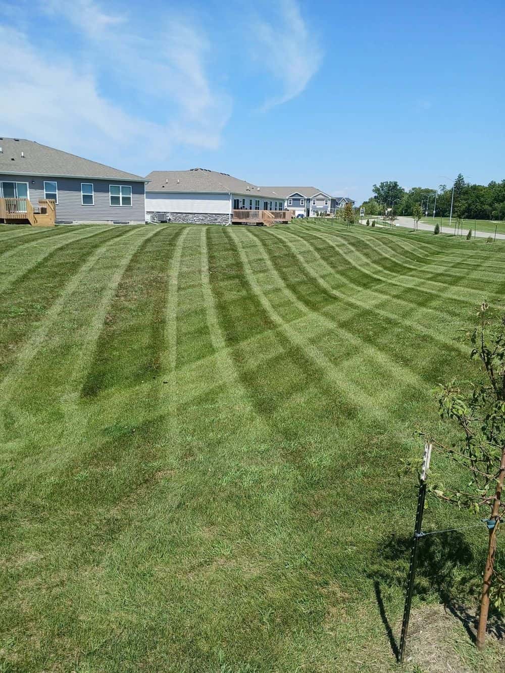 Hero image for Next Level Mowing