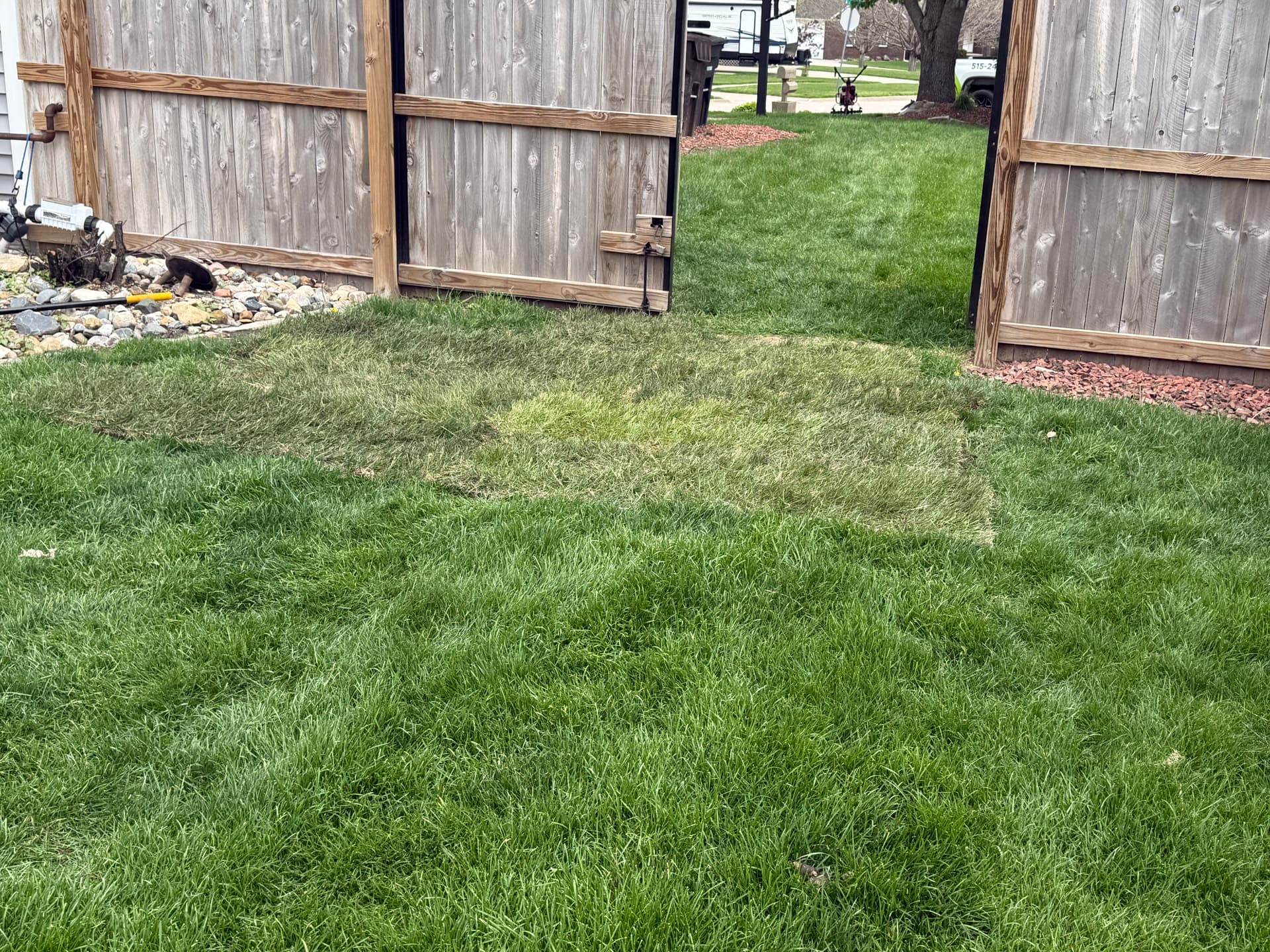 Gallery photos for Lawn Repair and Sod Installation After a Wet Spring: Image #3