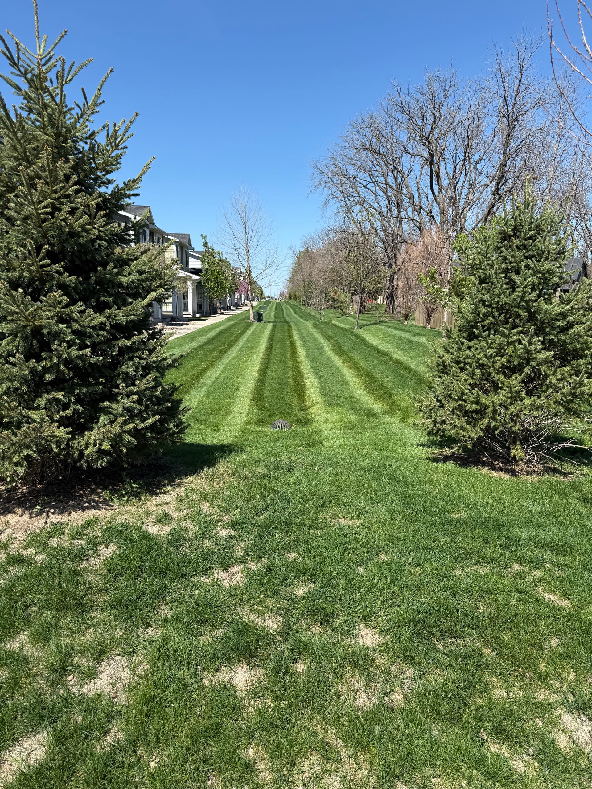 Gallery photos for HOA Lawn Mowing with Deep Stripes in Waukee: Image #1