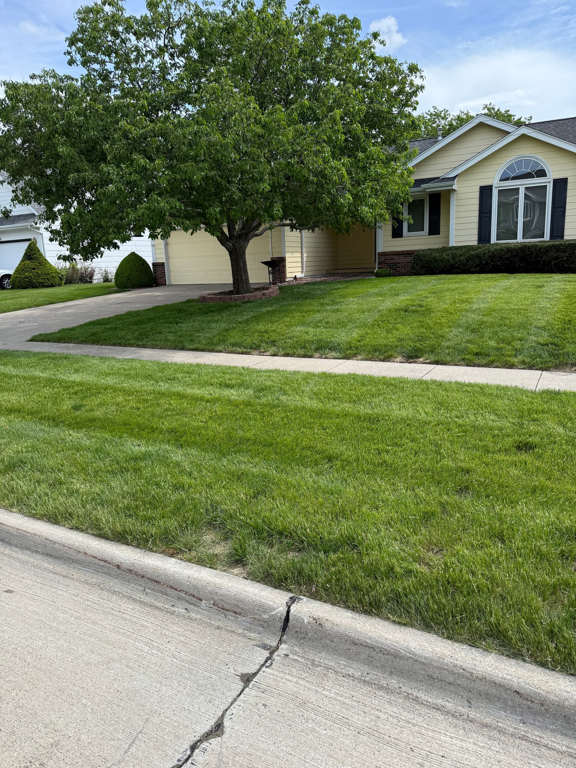 Gallery photos for New Weekly Lawn Pickup with Spring Cleanup and Bush Trimming: Image #2