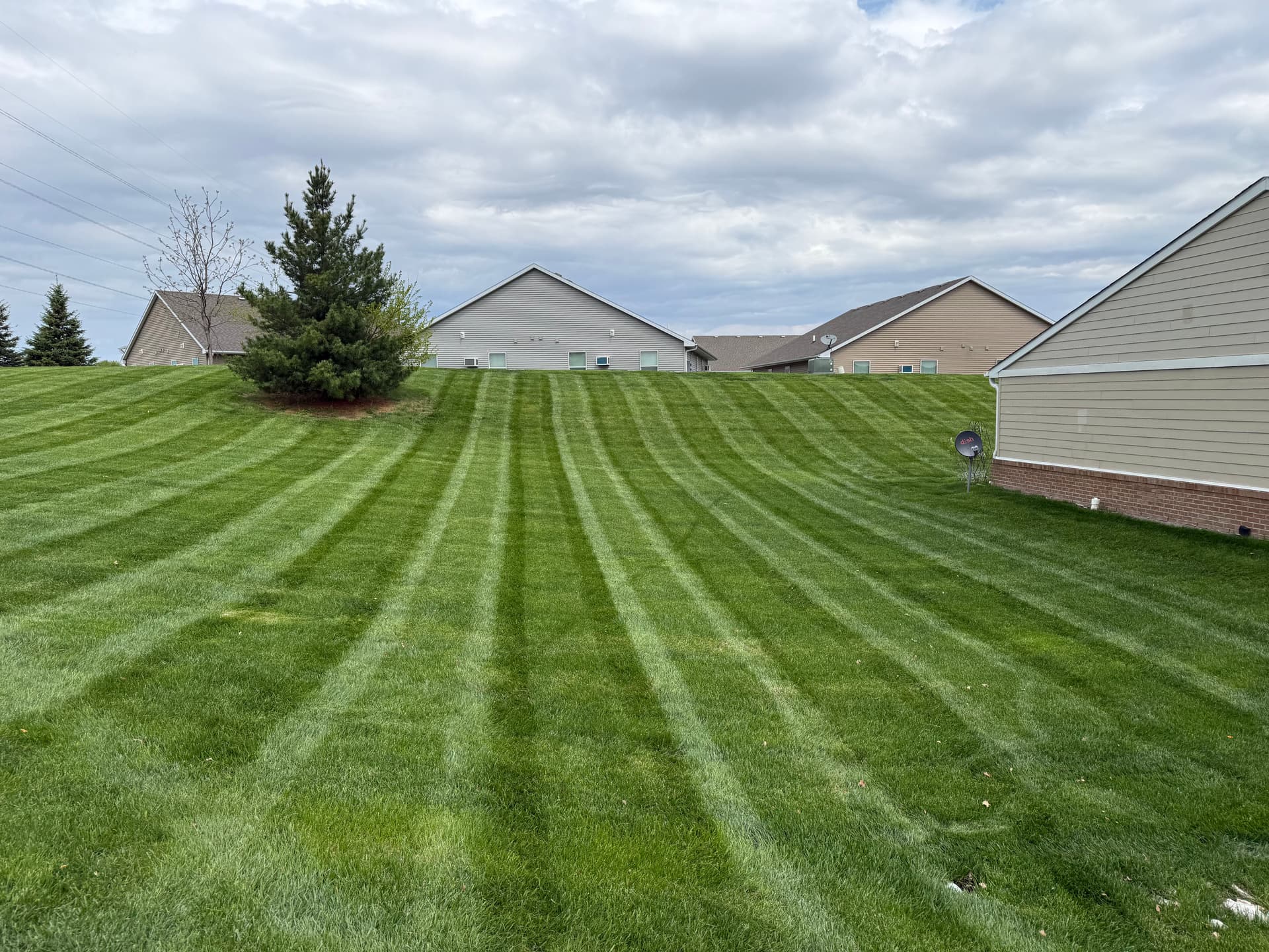 Clean Stripes and a Head Start Before the Rain