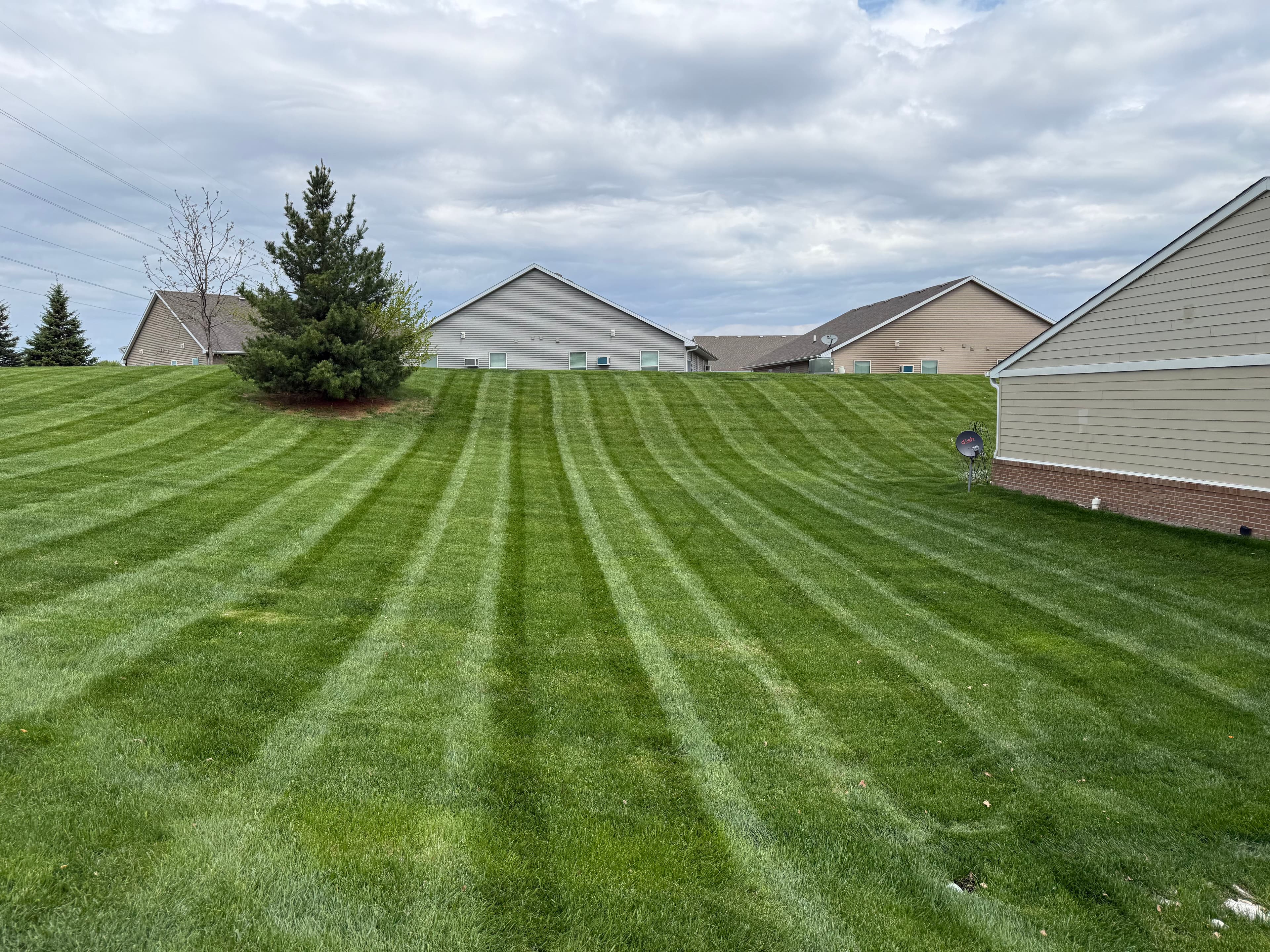 Project Clean Stripes and a Head Start Before the Rain image