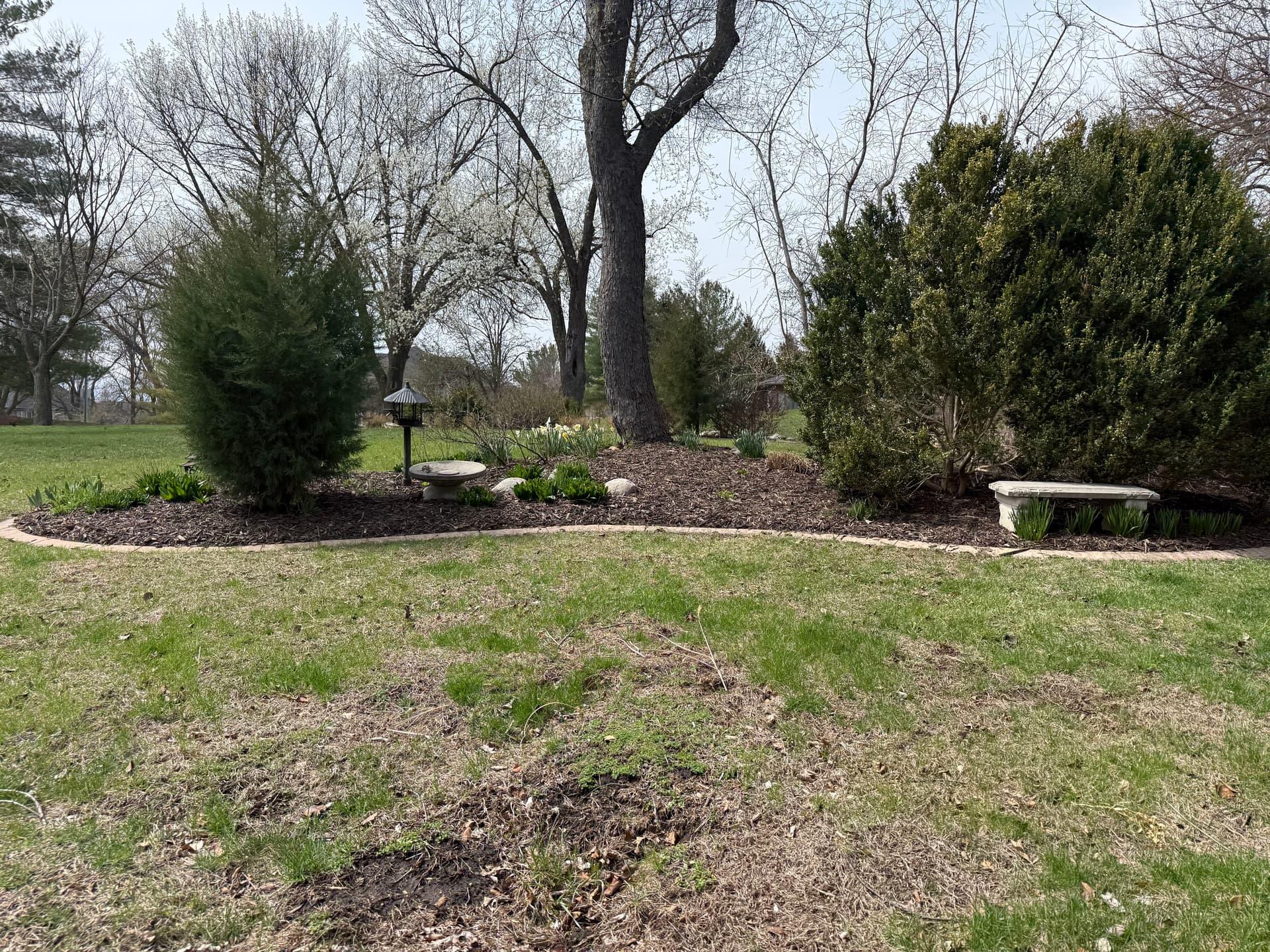 Gallery photos for Full Bed Tear-Out Spring Cleanup and Re-Mulch in West Des Moines: Image #2