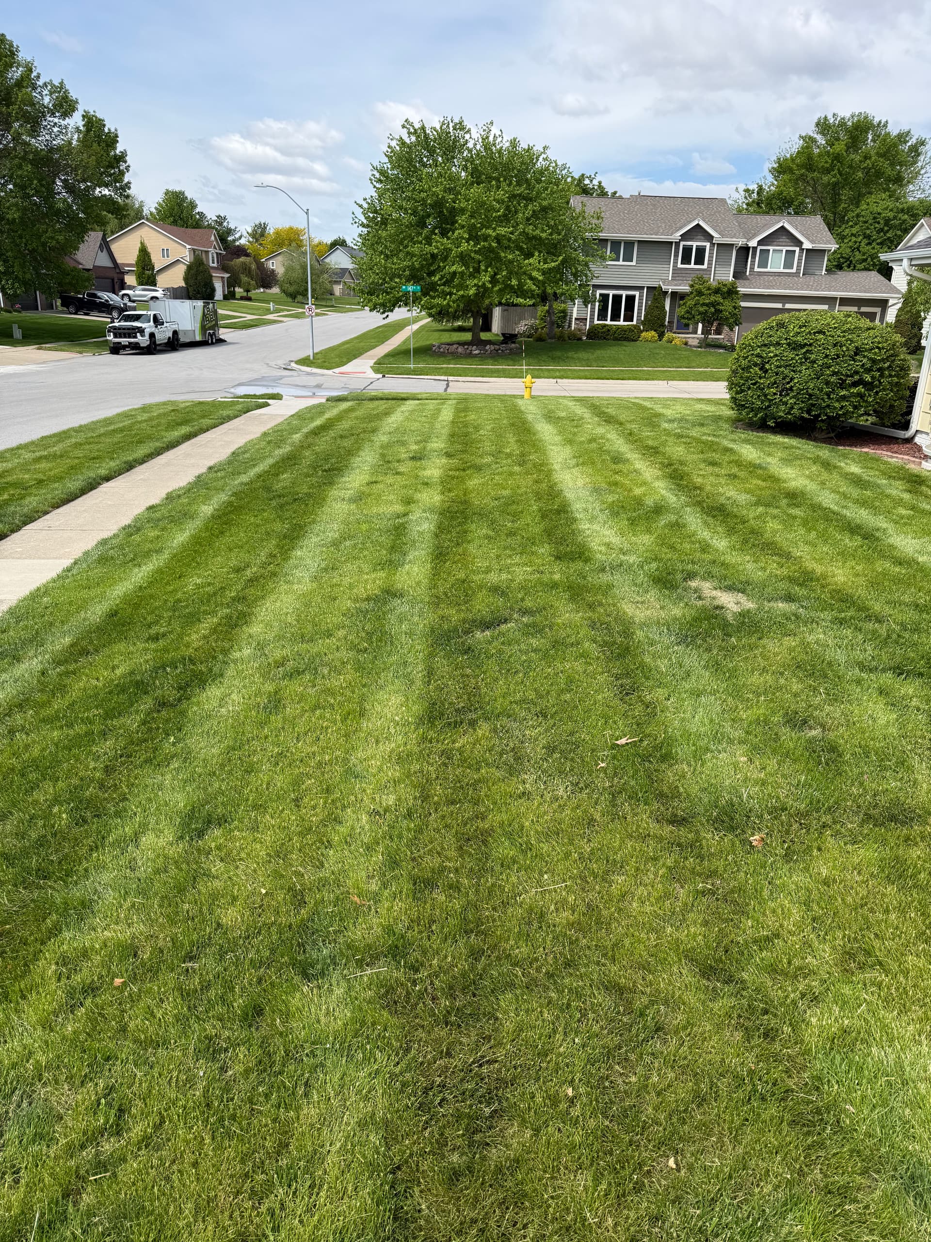Gallery photos for New Weekly Lawn Pickup with Spring Cleanup and Bush Trimming: Image #1