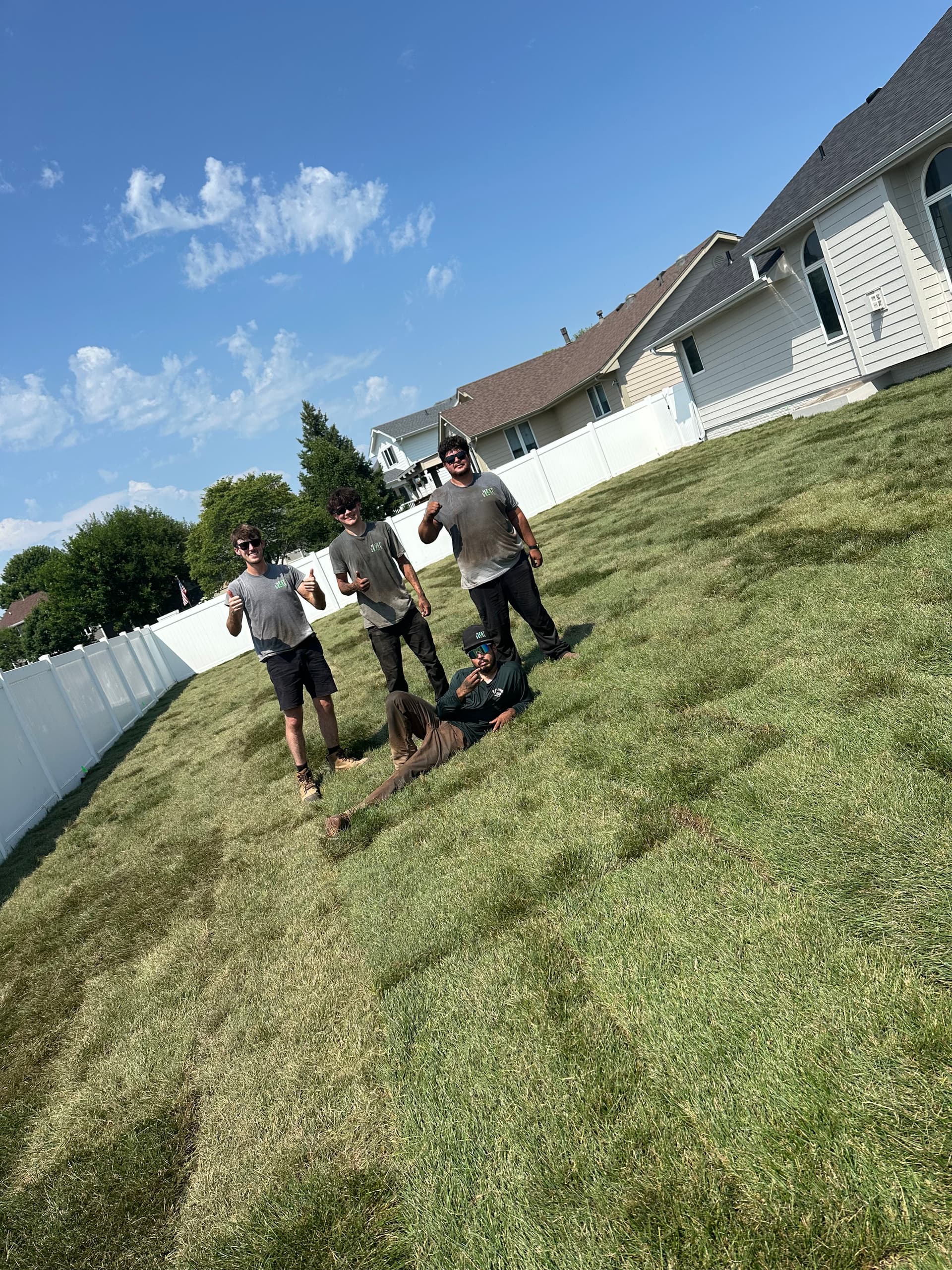 Full Backyard Sod Install With Regrading and Sprinkler Work image