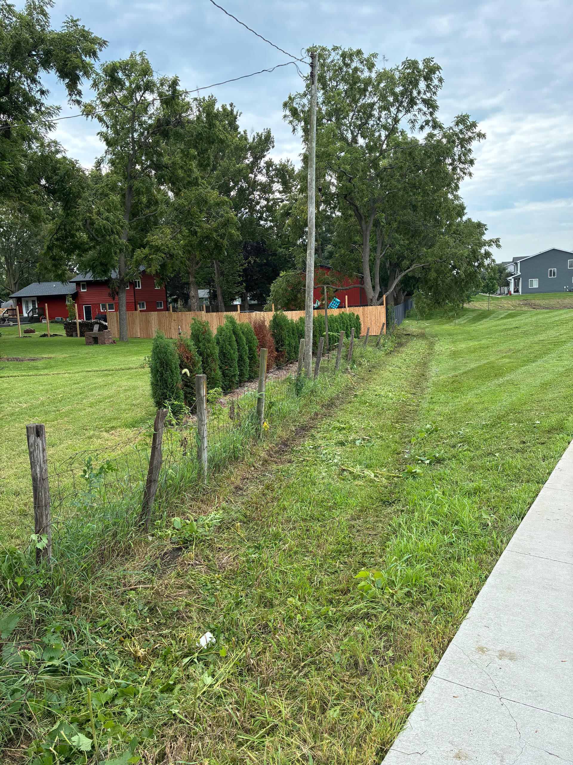 Gallery photos for HOA Common Area Brush Hogging Done Right: Image #2