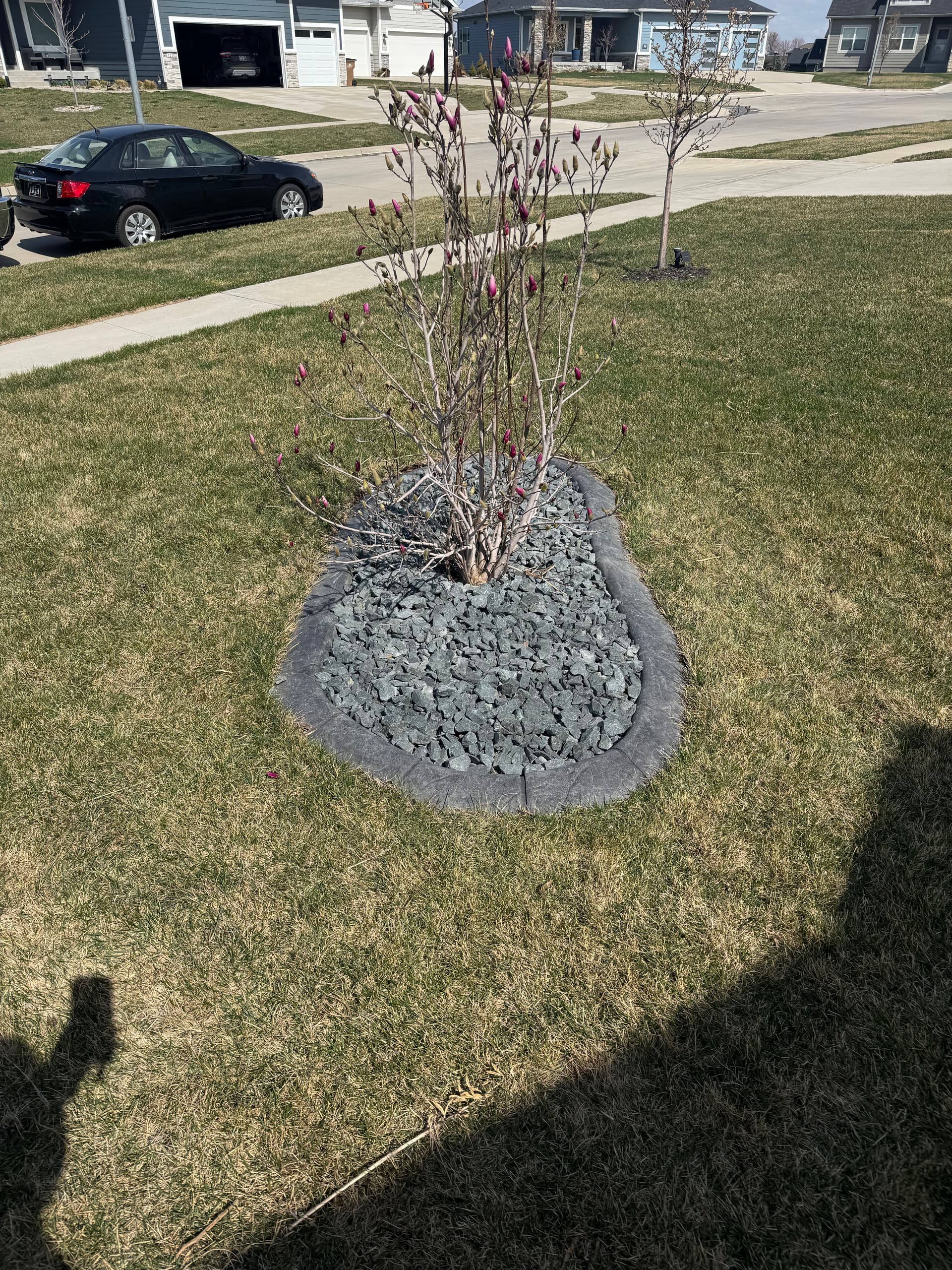Gallery photos for Trap Rock Landscape Makeover in Altoona Iowa: Image #2