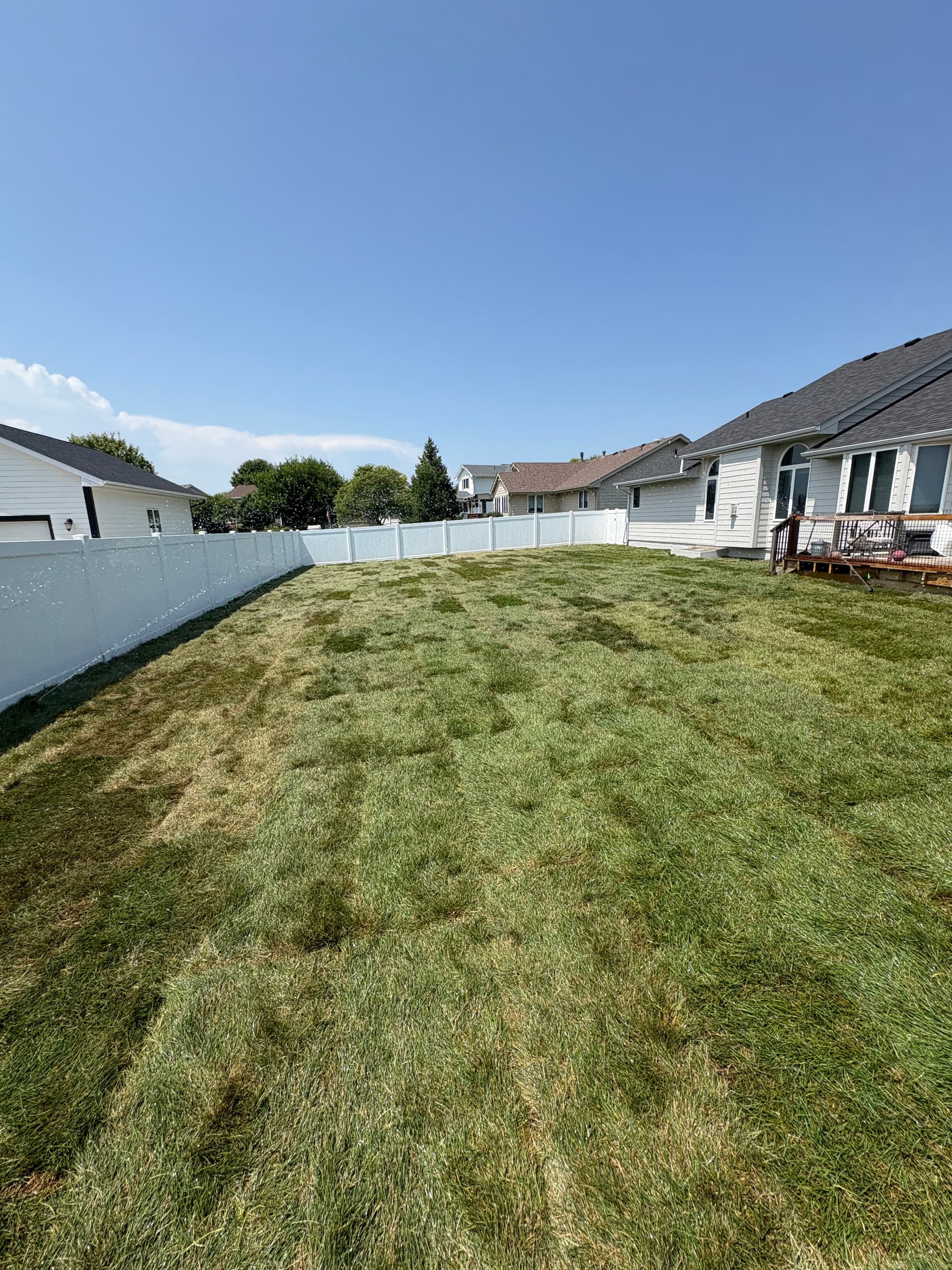 Gallery photos for Full Backyard Sod Install With Regrading and Sprinkler Work: Image #3