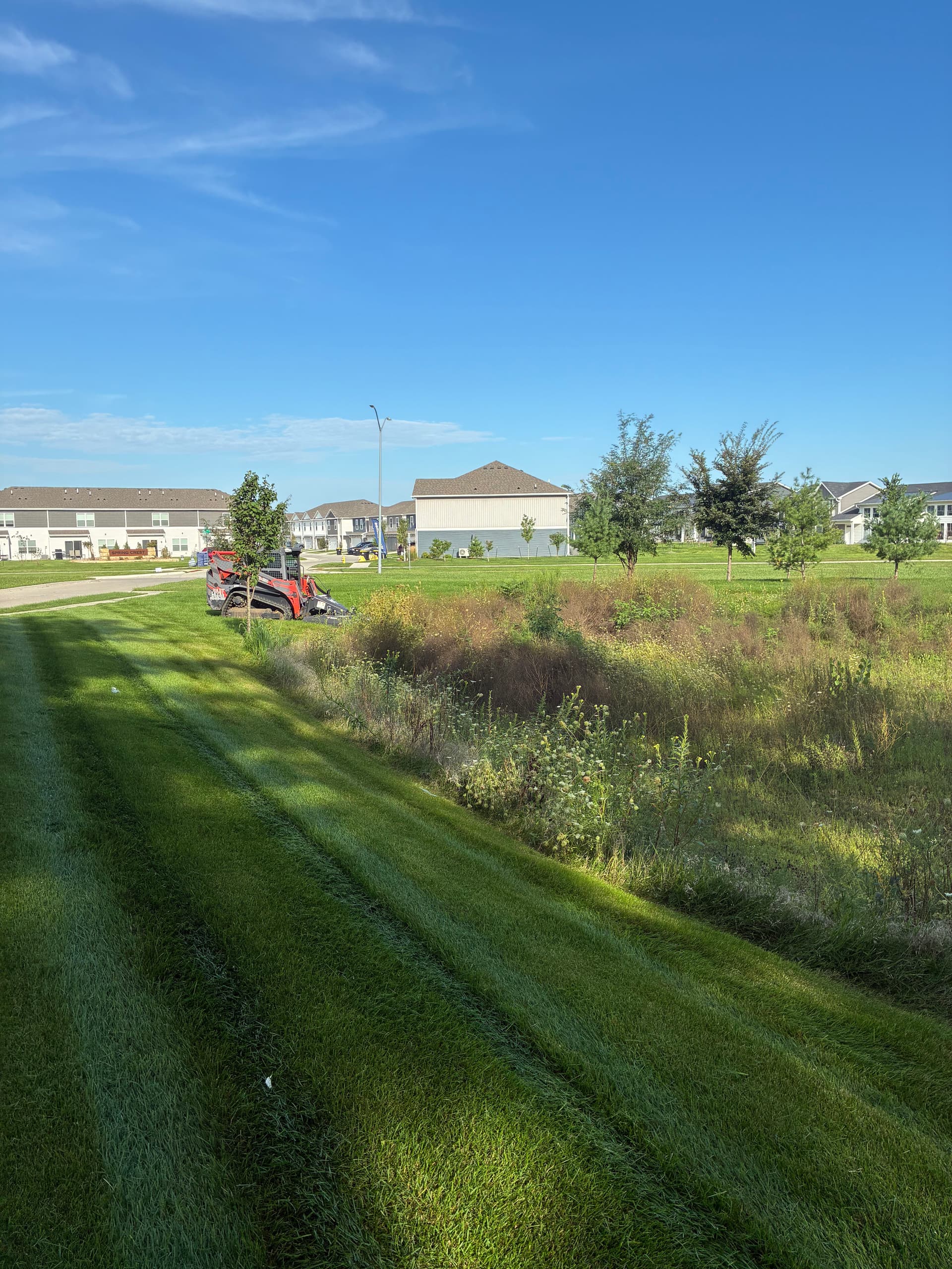 HOA Common Area Brush Hogging Done Right image