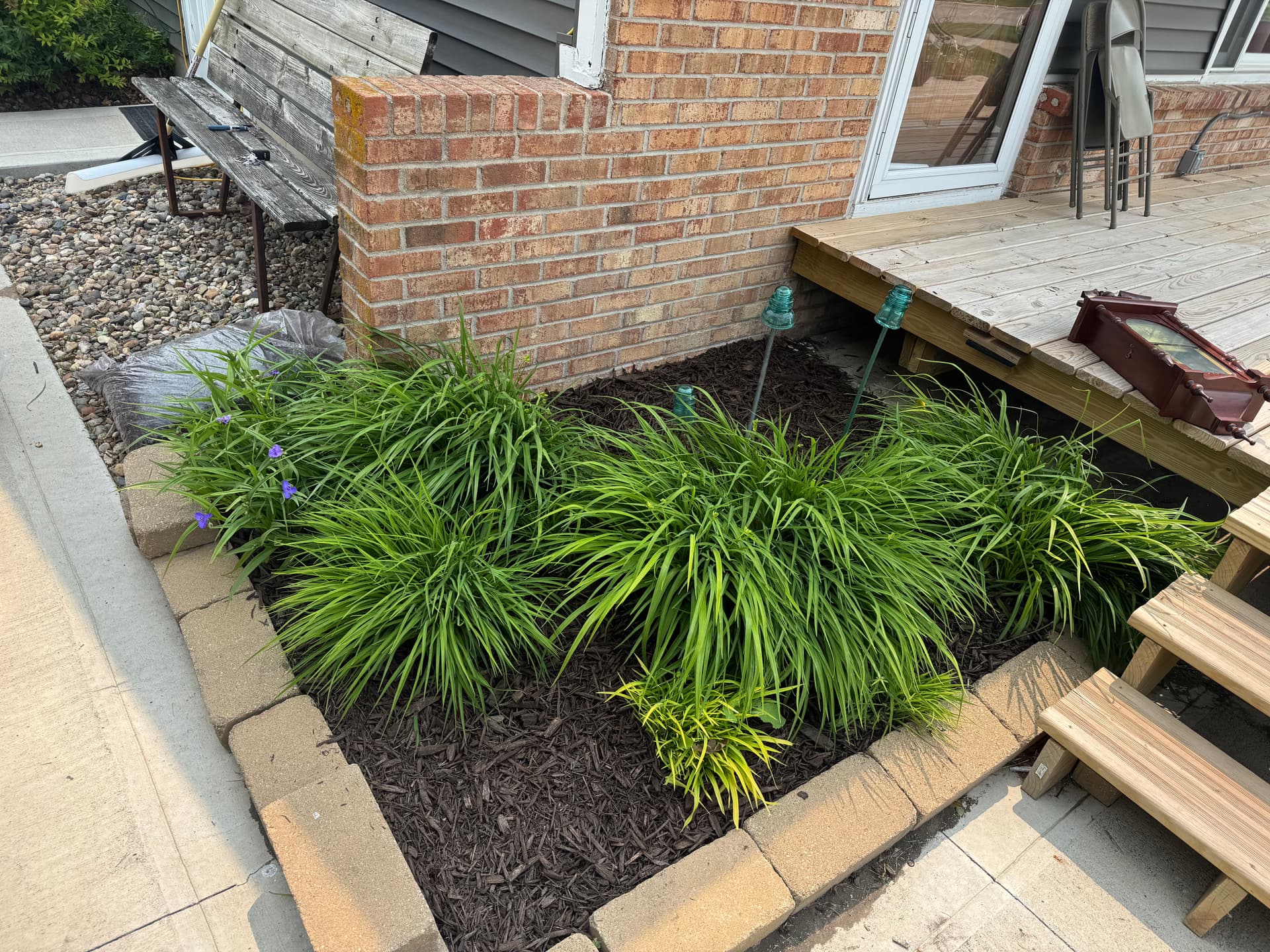 Gallery photos for Overgrown Backyard Cleaned Up and Made Market Ready: Image #3