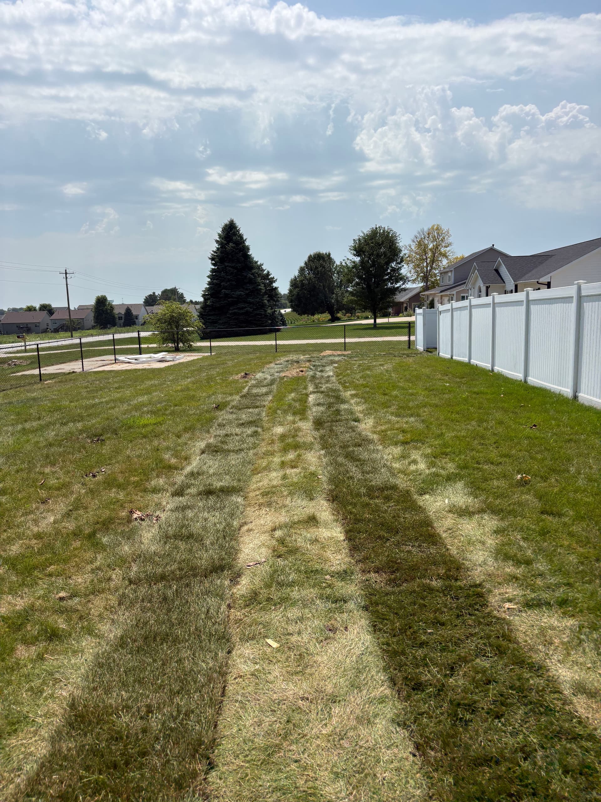 Gallery photos for Full Backyard Sod Install With Regrading and Sprinkler Work: Image #5