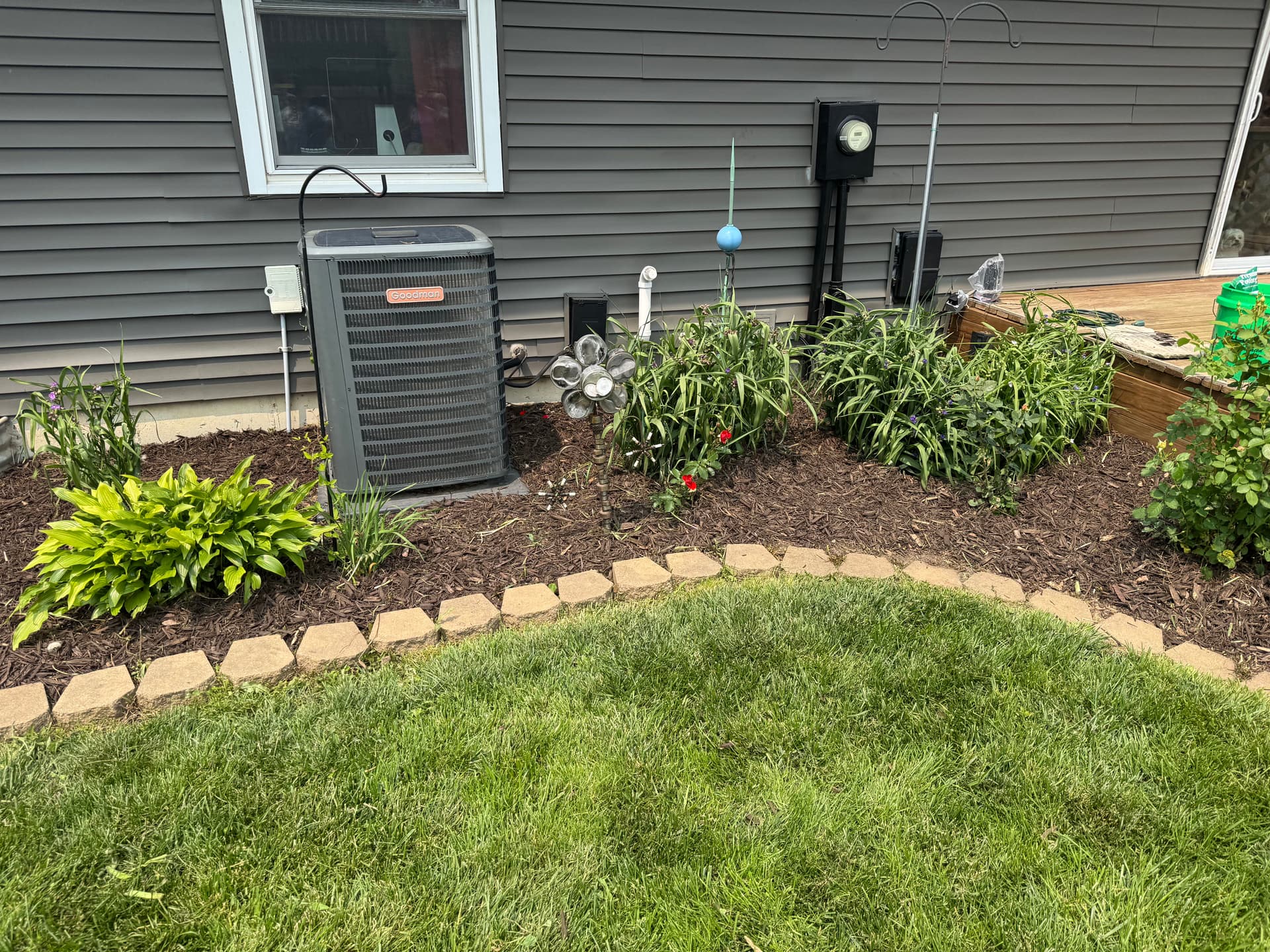 Gallery photos for Overgrown Backyard Cleaned Up and Made Market Ready: Image #2