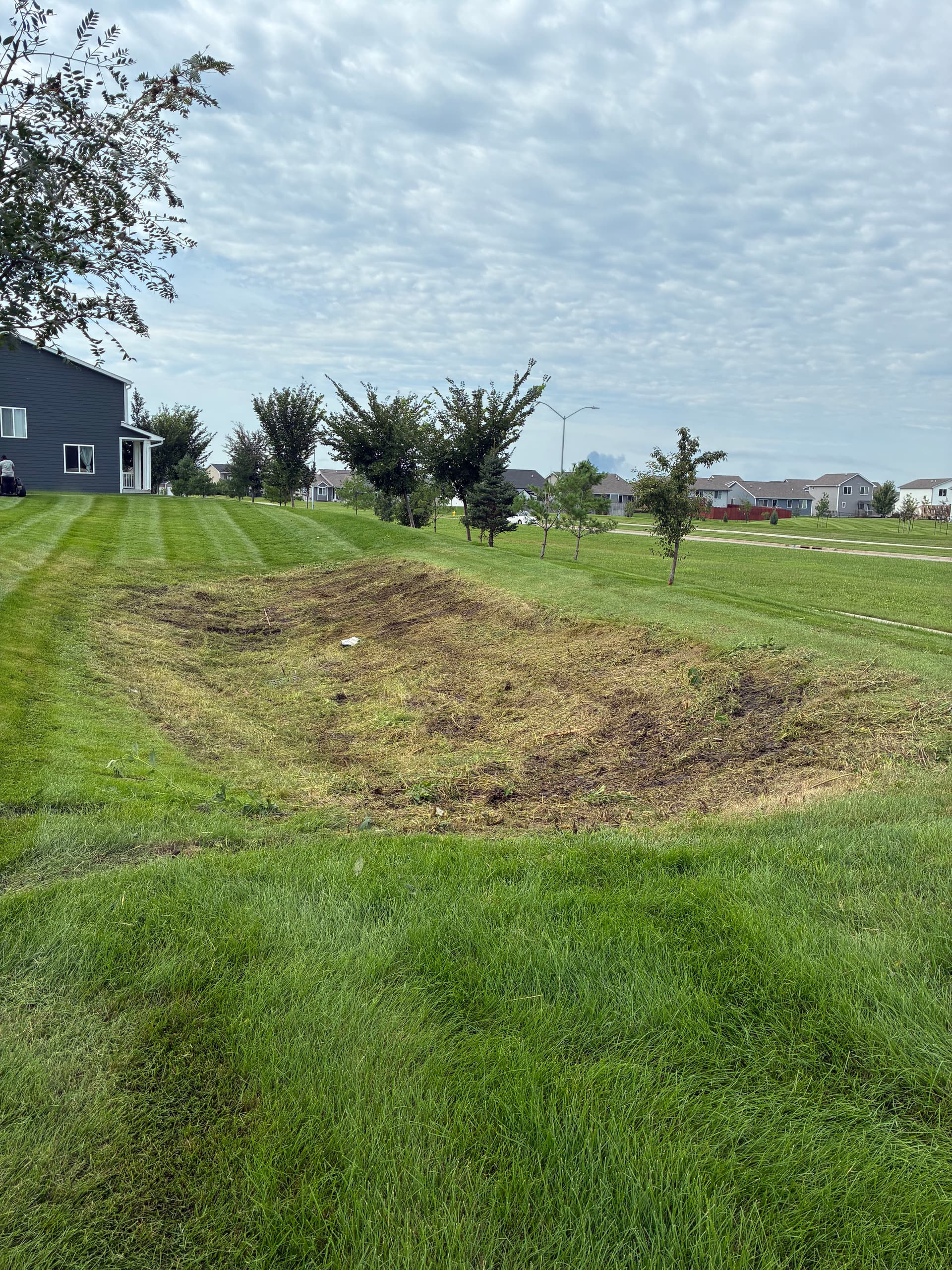 Gallery photos for HOA Common Area Brush Hogging Done Right: Image #4