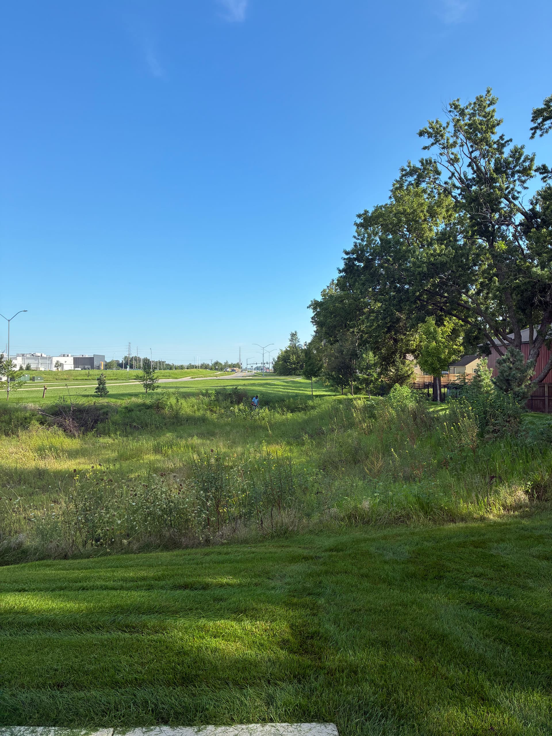 Gallery photos for HOA Common Area Brush Hogging Done Right: Image #5