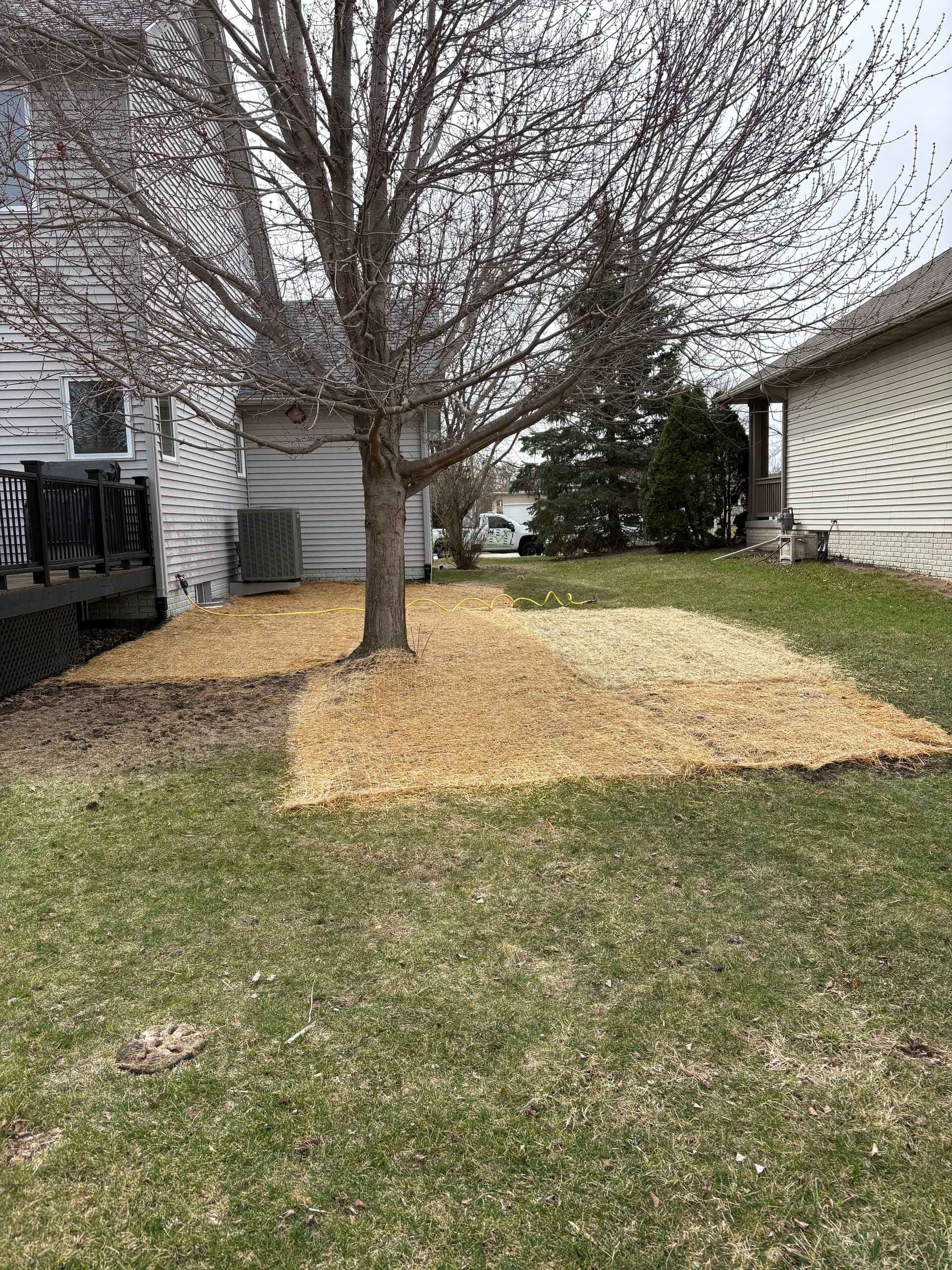 Gallery photos for French Drain Install, Grading Fix and Full Lawn Restoration: Image #3
