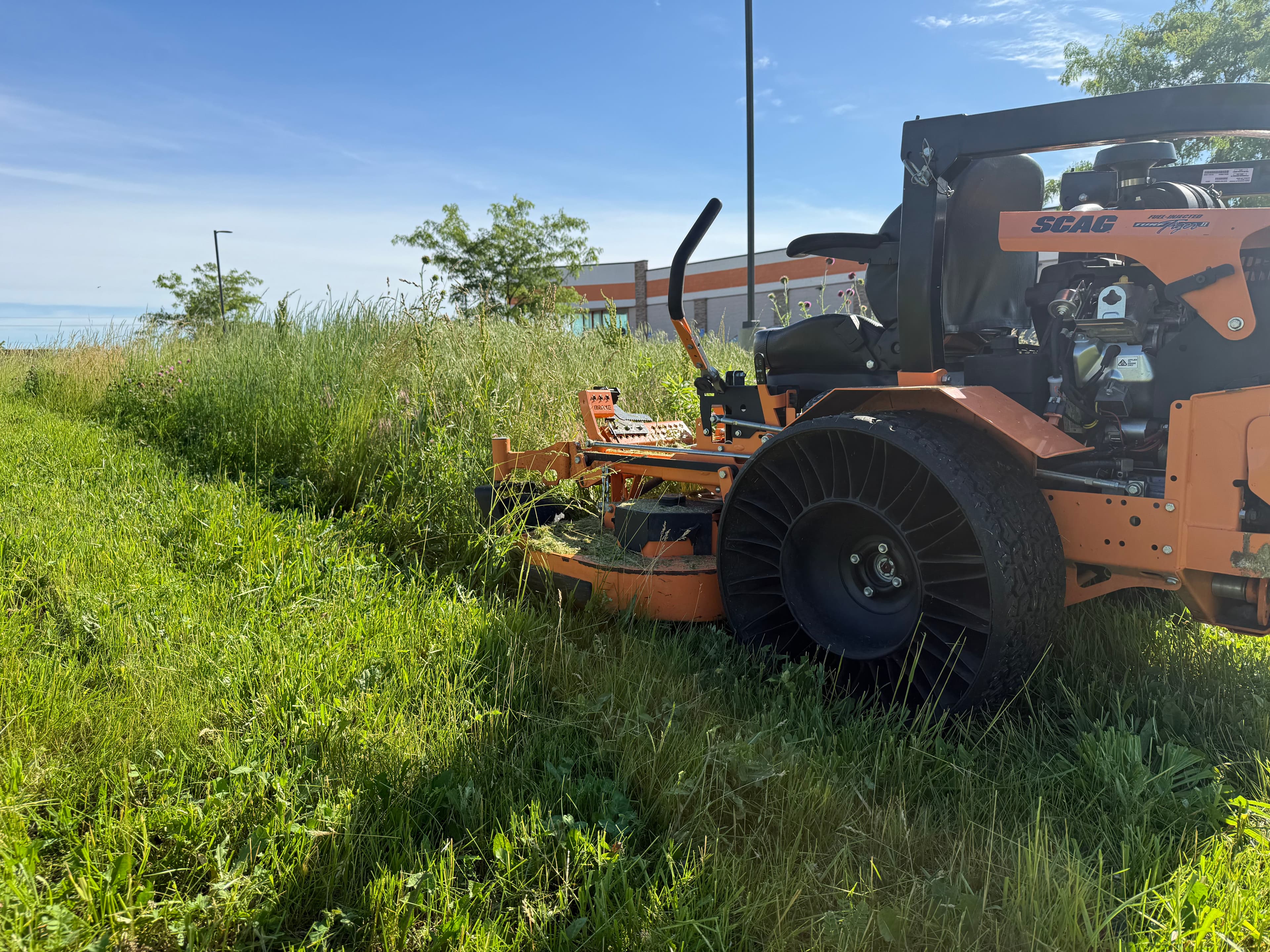 Project Thick Overgrown Grass Cleared and Cut Down to Size image