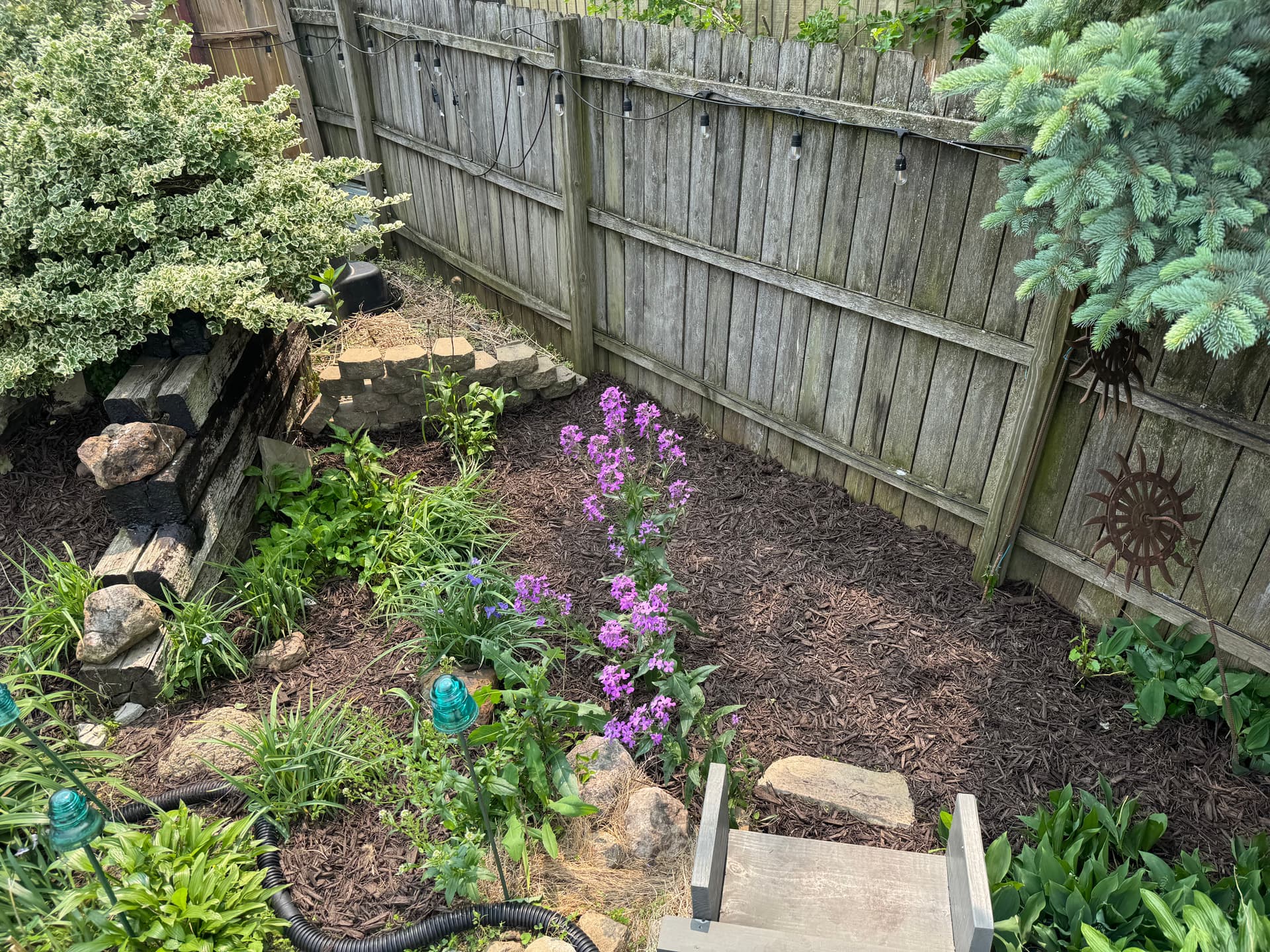 Gallery photos for Overgrown Backyard Cleaned Up and Made Market Ready: Image #4