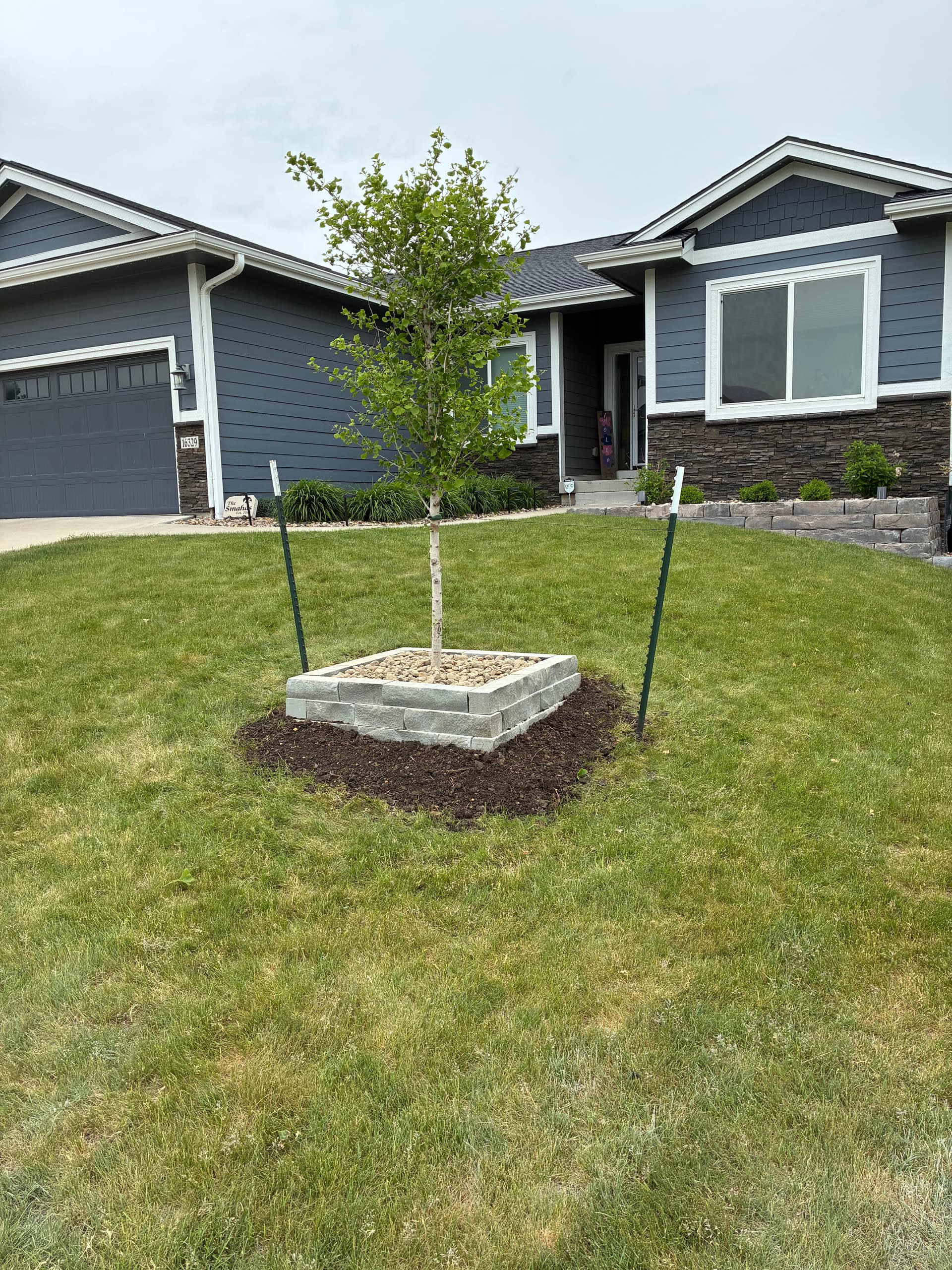 Small Retaining Wall Around a Front Yard Tree in Urbandale image