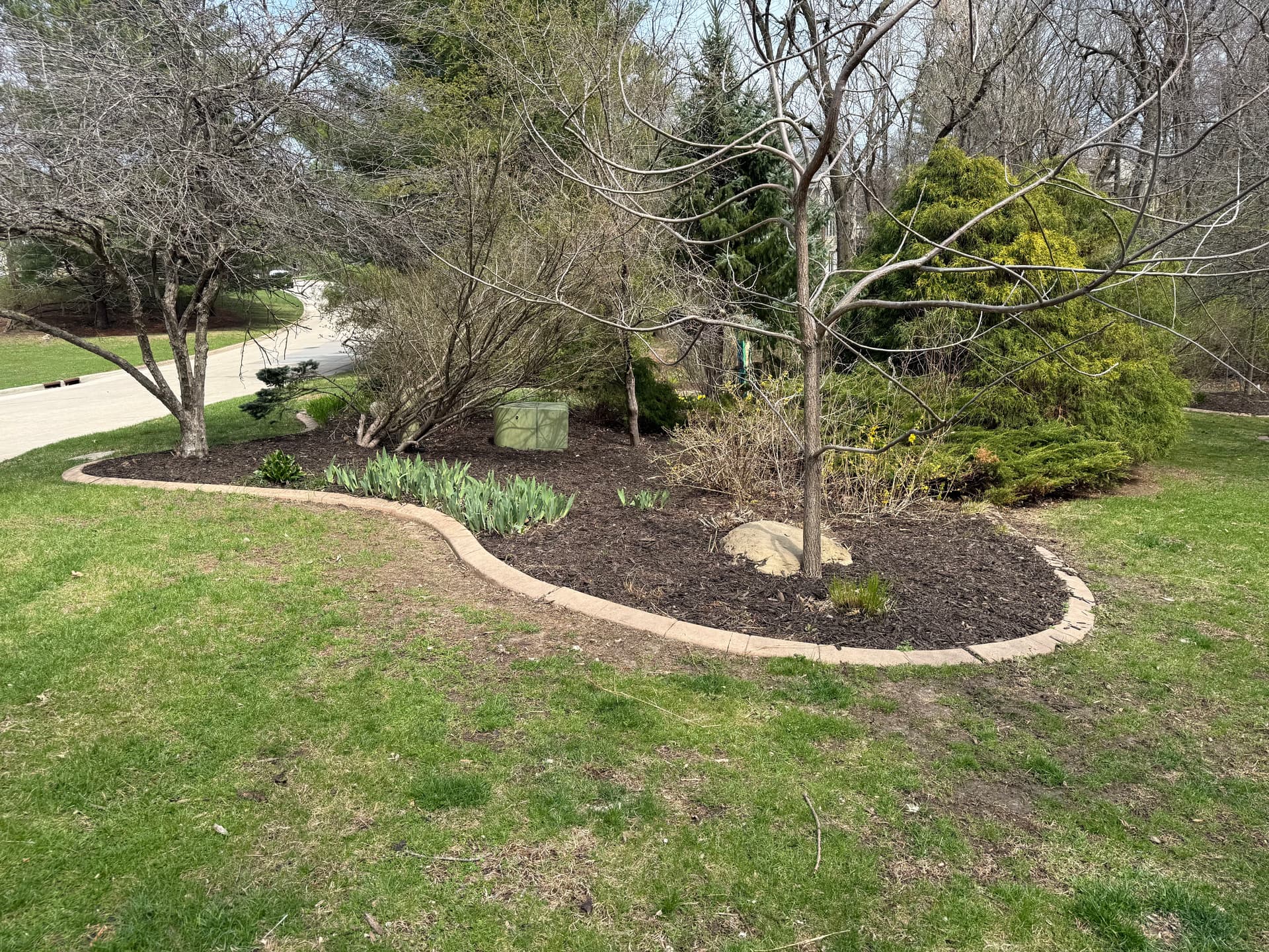 Gallery photos for Full Bed Tear-Out Spring Cleanup and Re-Mulch in West Des Moines: Image #8