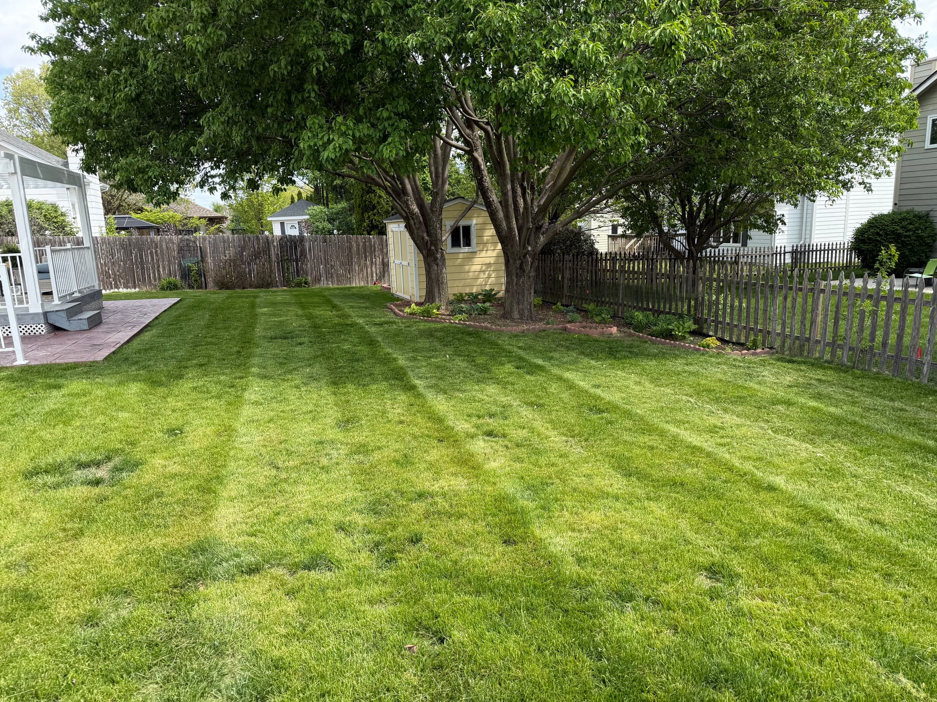 Gallery photos for New Weekly Lawn Pickup with Spring Cleanup and Bush Trimming: Image #3