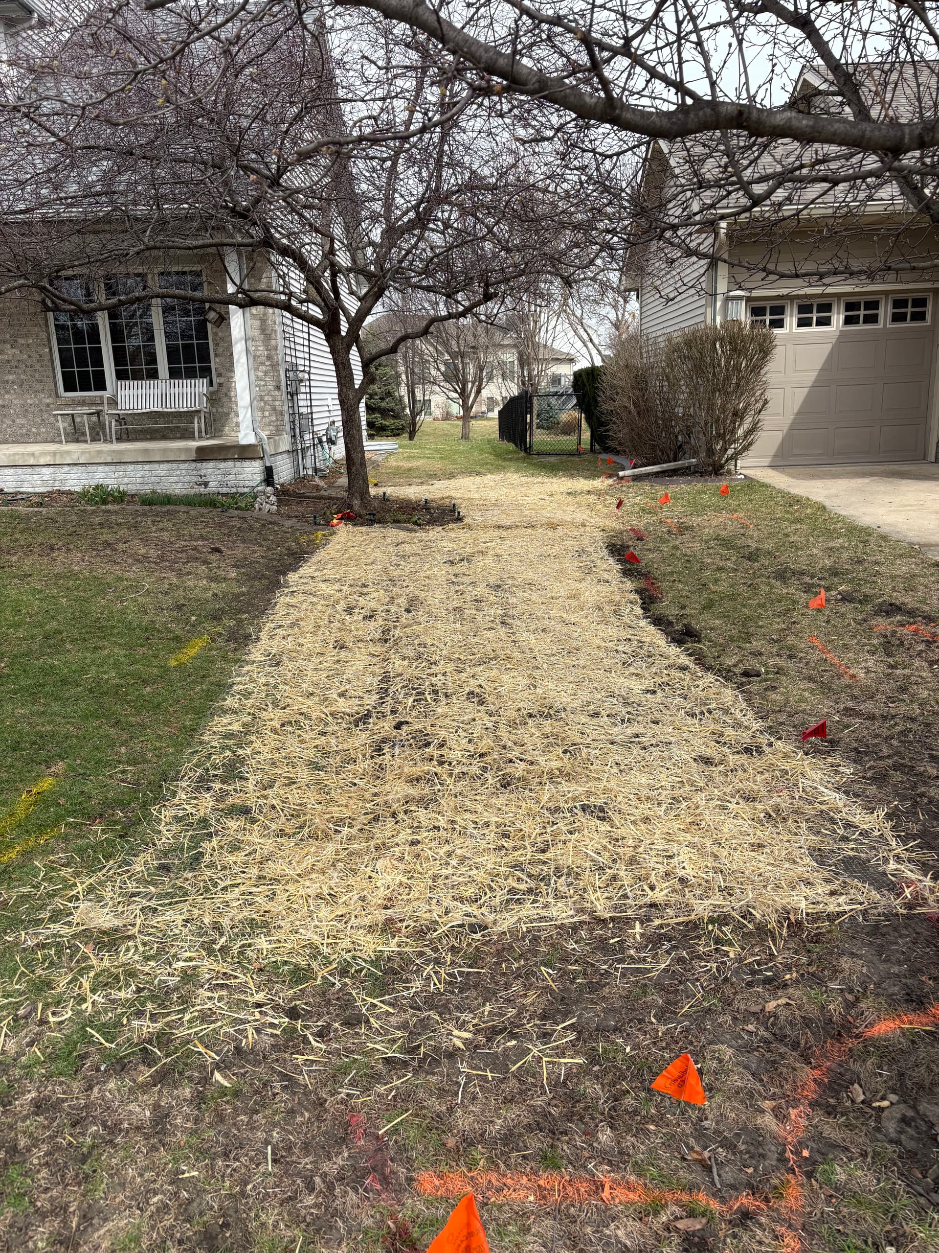 Gallery photos for French Drain Install, Grading Fix and Full Lawn Restoration: Image #2