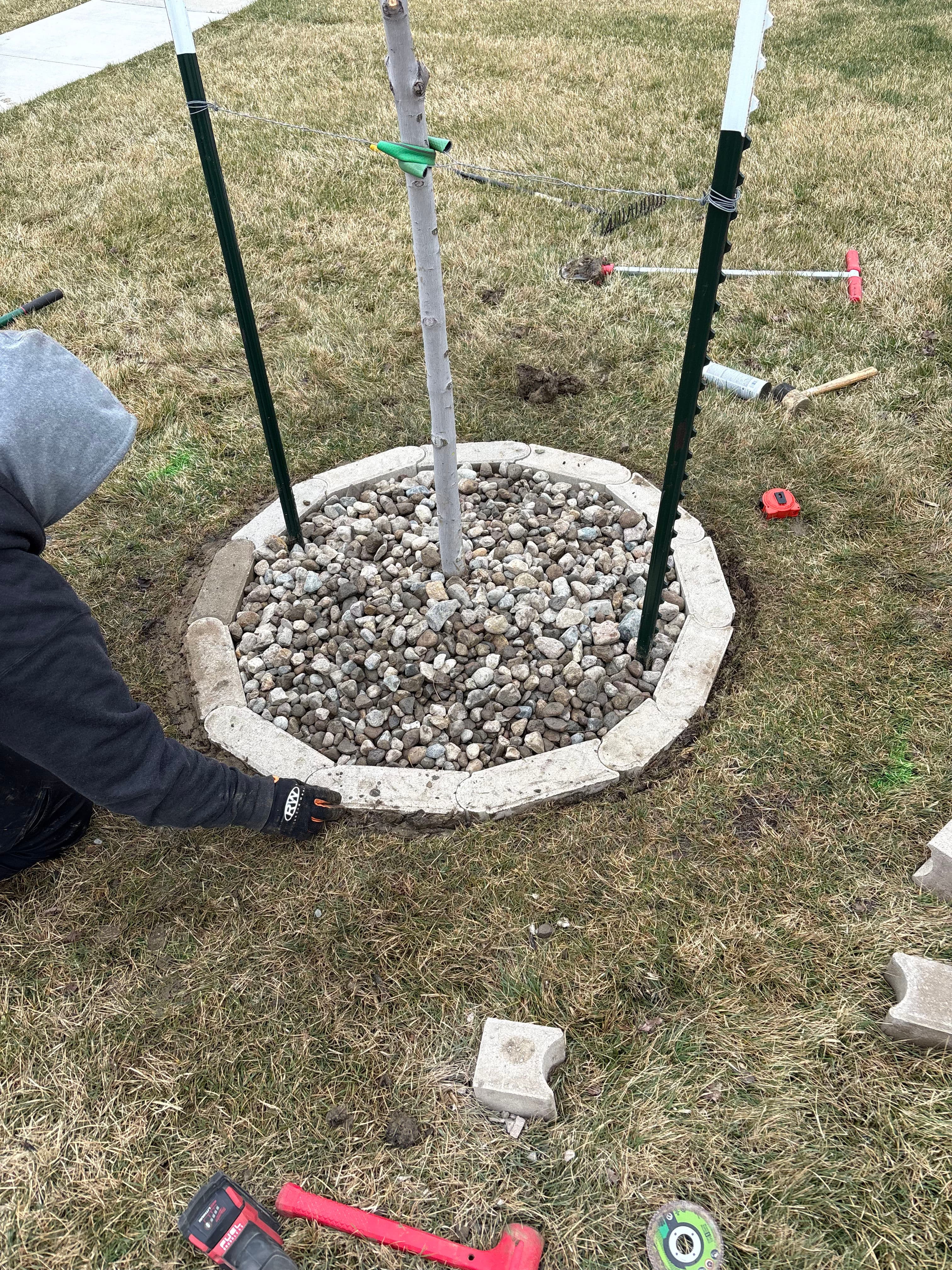 Project New Tree Rings Add Instant Curb Appeal in Altoona image