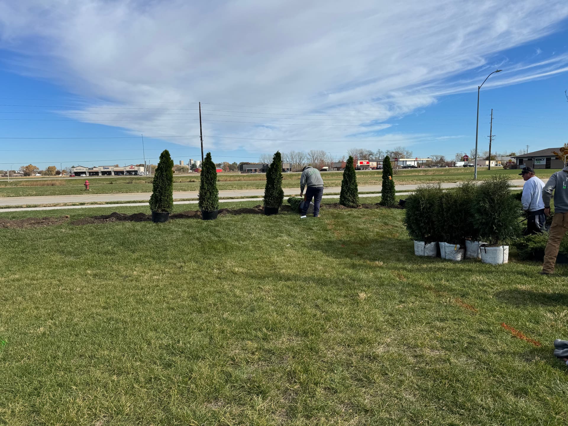 Gallery photos for 40 Trees and Shrubs Planted at Carlisle Storage Facility: Image #8