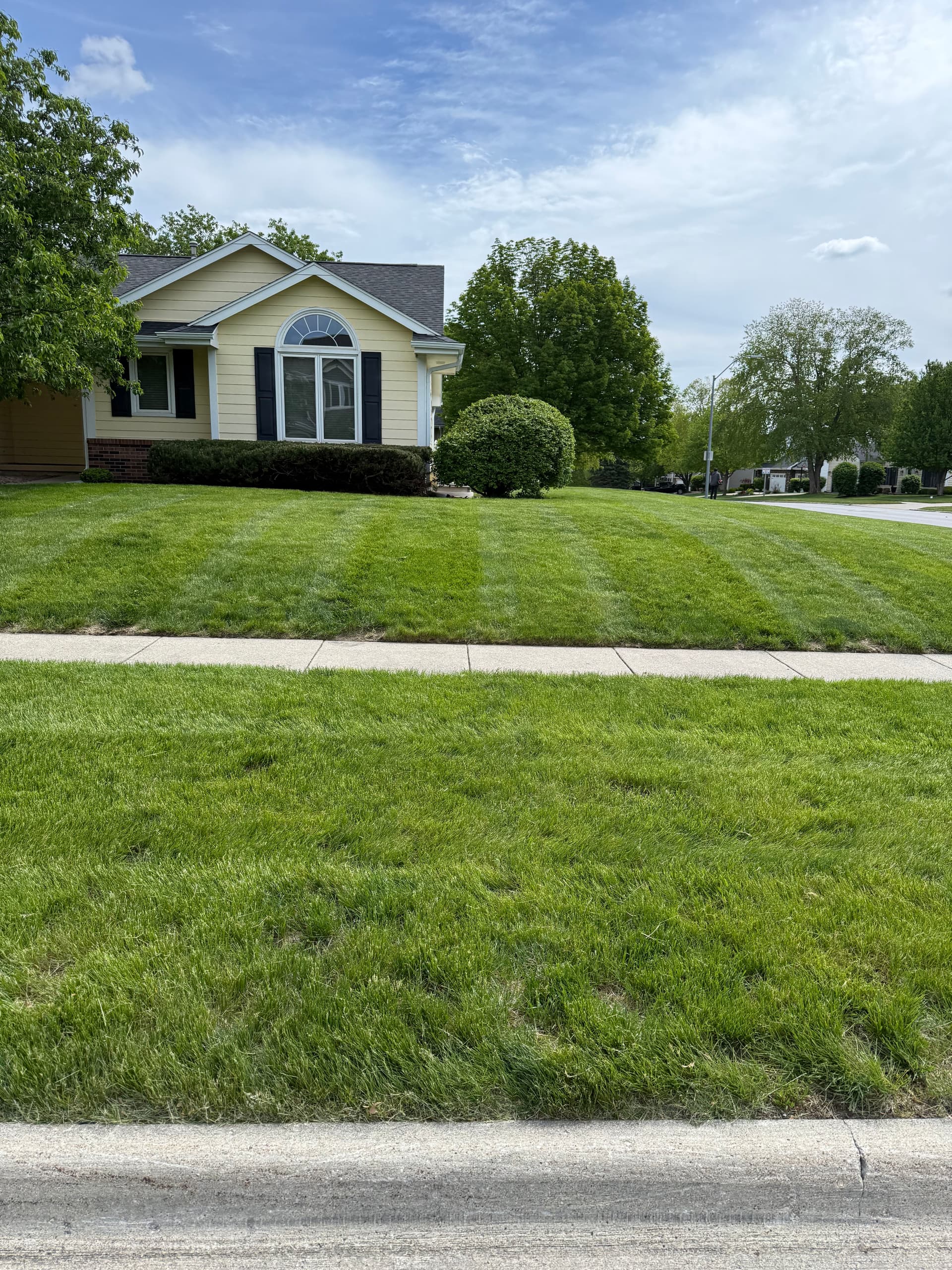 New Weekly Lawn Pickup with Spring Cleanup and Bush Trimming image