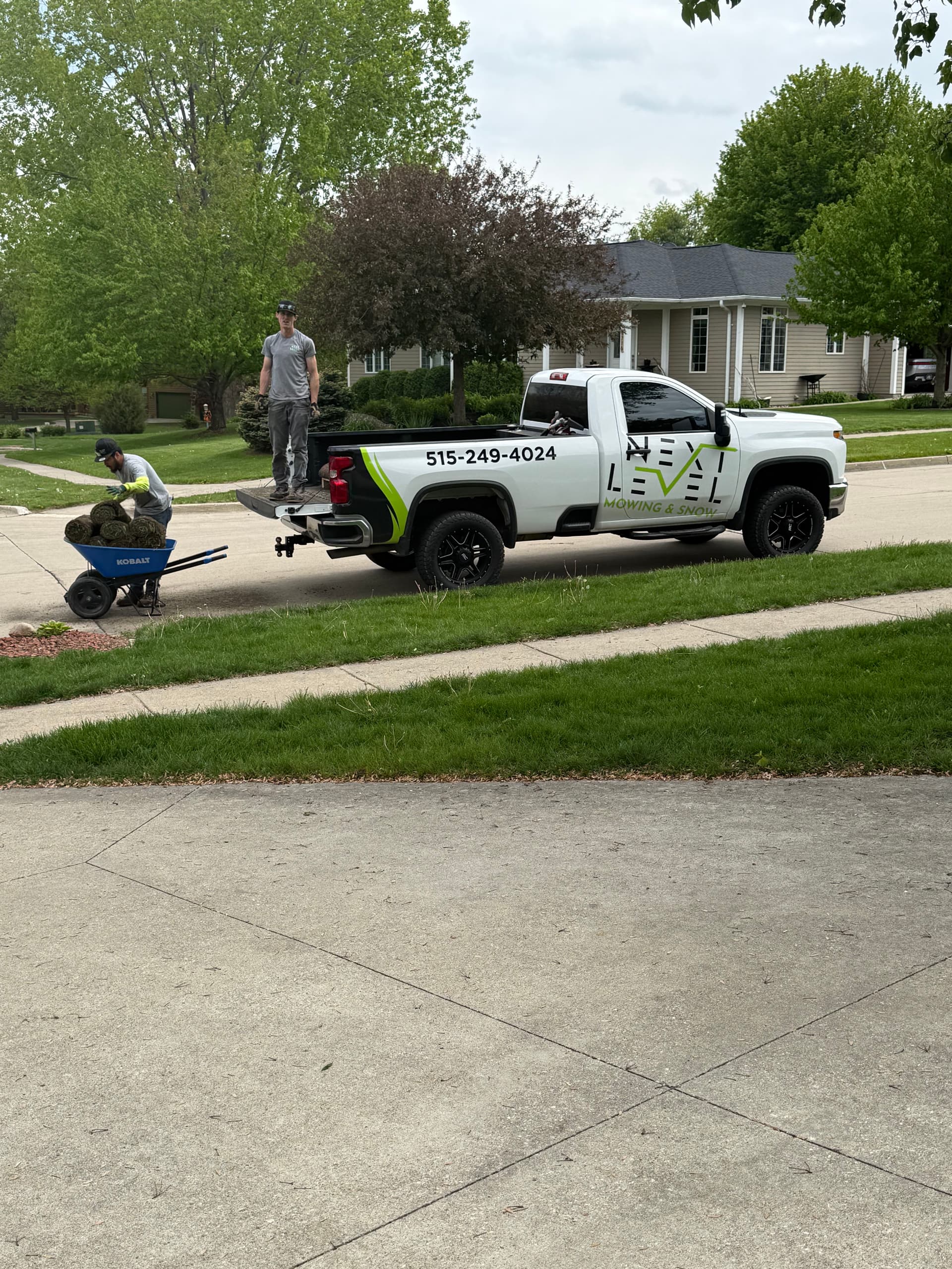 Gallery photos for Lawn Repair and Sod Installation After a Wet Spring: Image #1
