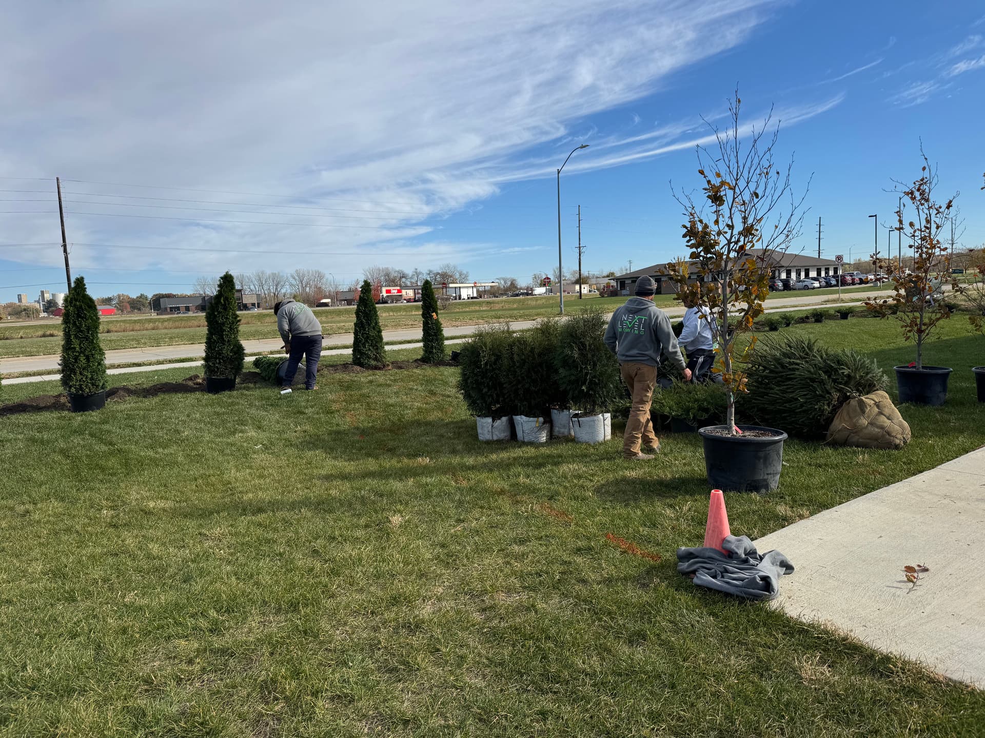 Gallery photos for 40 Trees and Shrubs Planted at Carlisle Storage Facility: Image #7