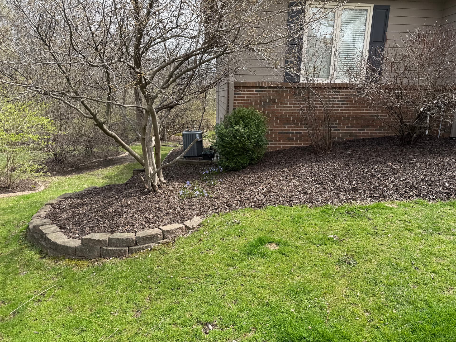 Gallery photos for Full Bed Tear-Out Spring Cleanup and Re-Mulch in West Des Moines: Image #6