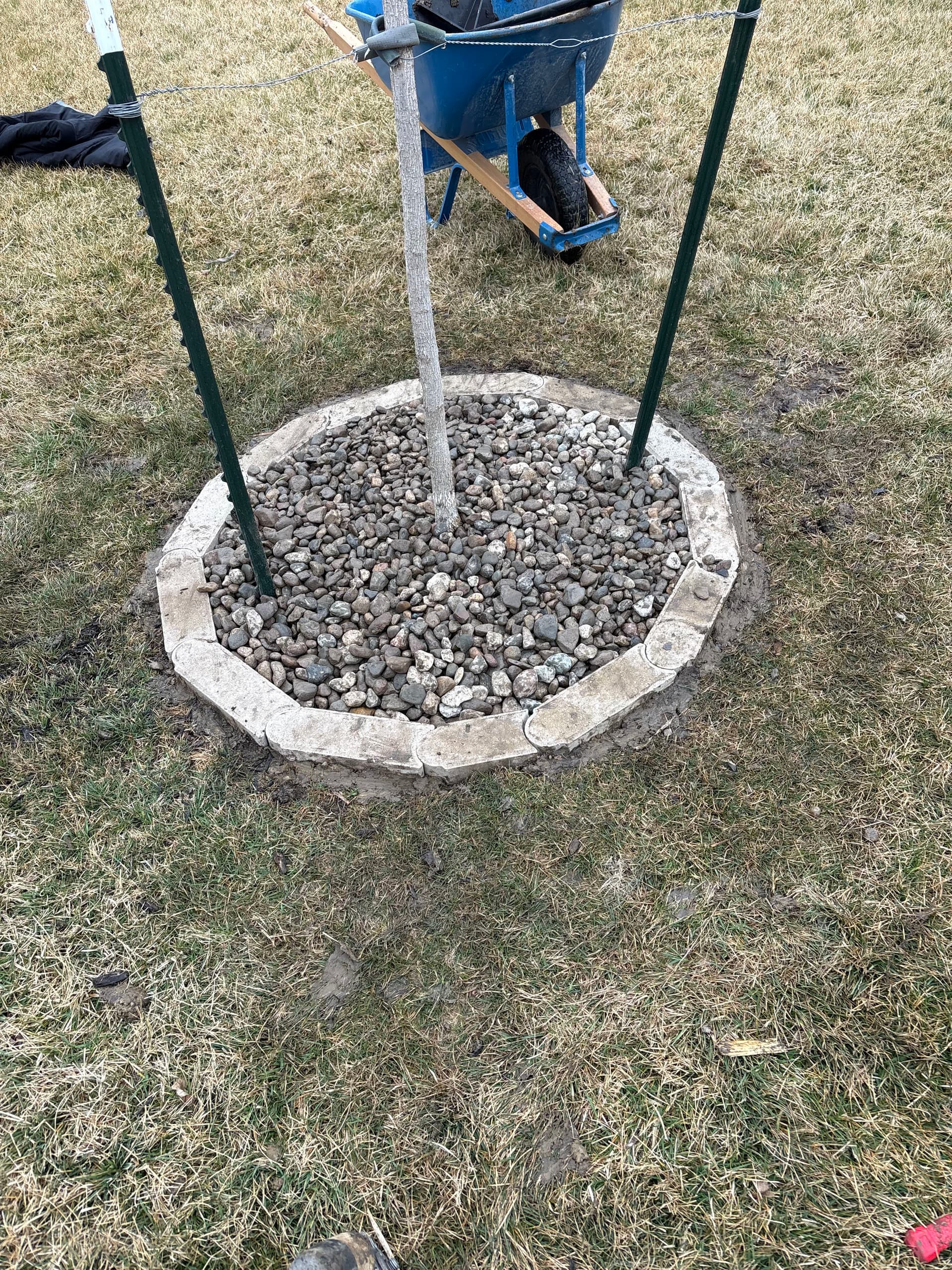 Gallery photos for New Tree Rings Add Instant Curb Appeal in Altoona: Image #1