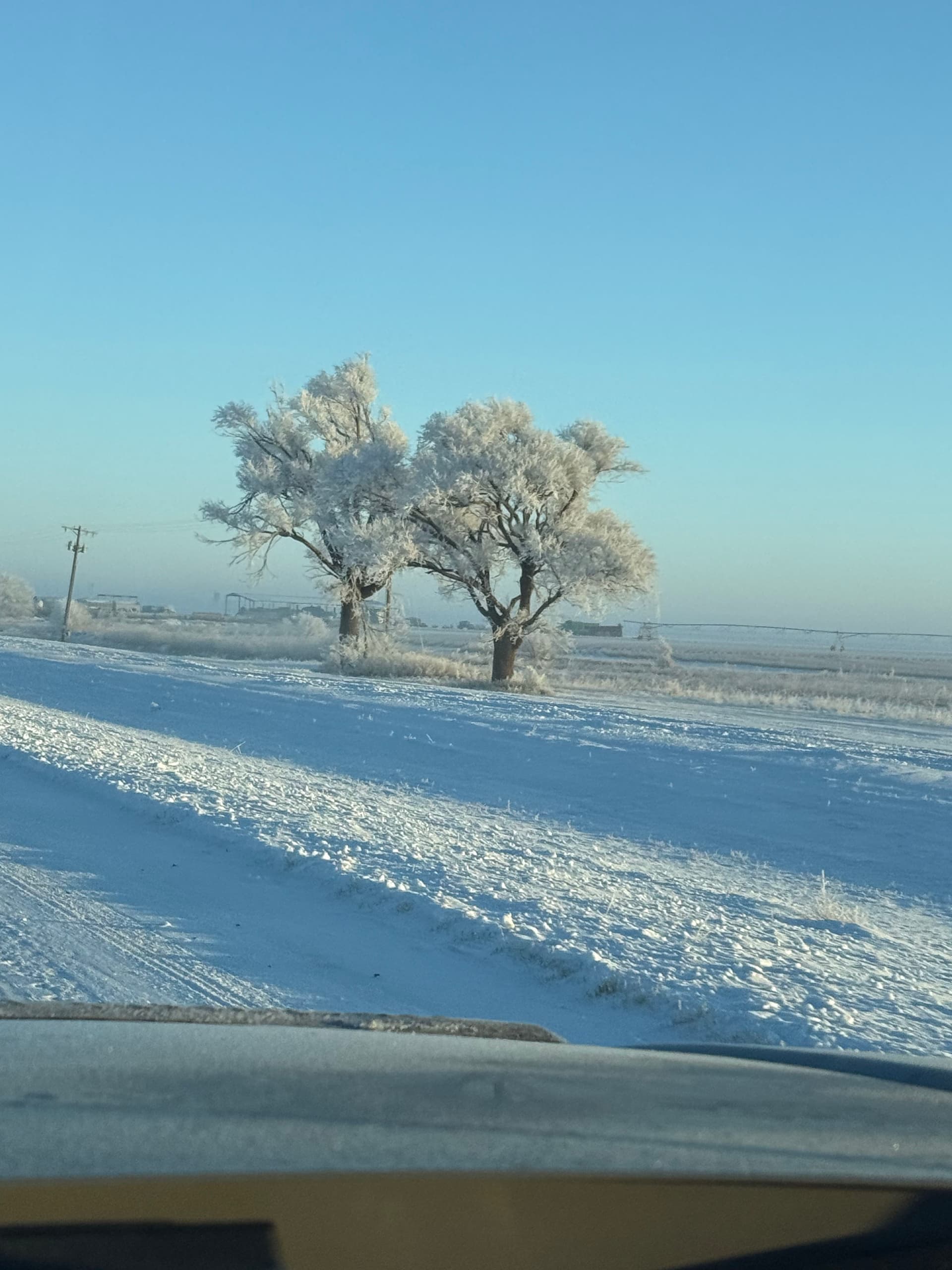 Gallery photos for Next Level Mowing Takes Commercial Snow Removal Across Texas: Image #9