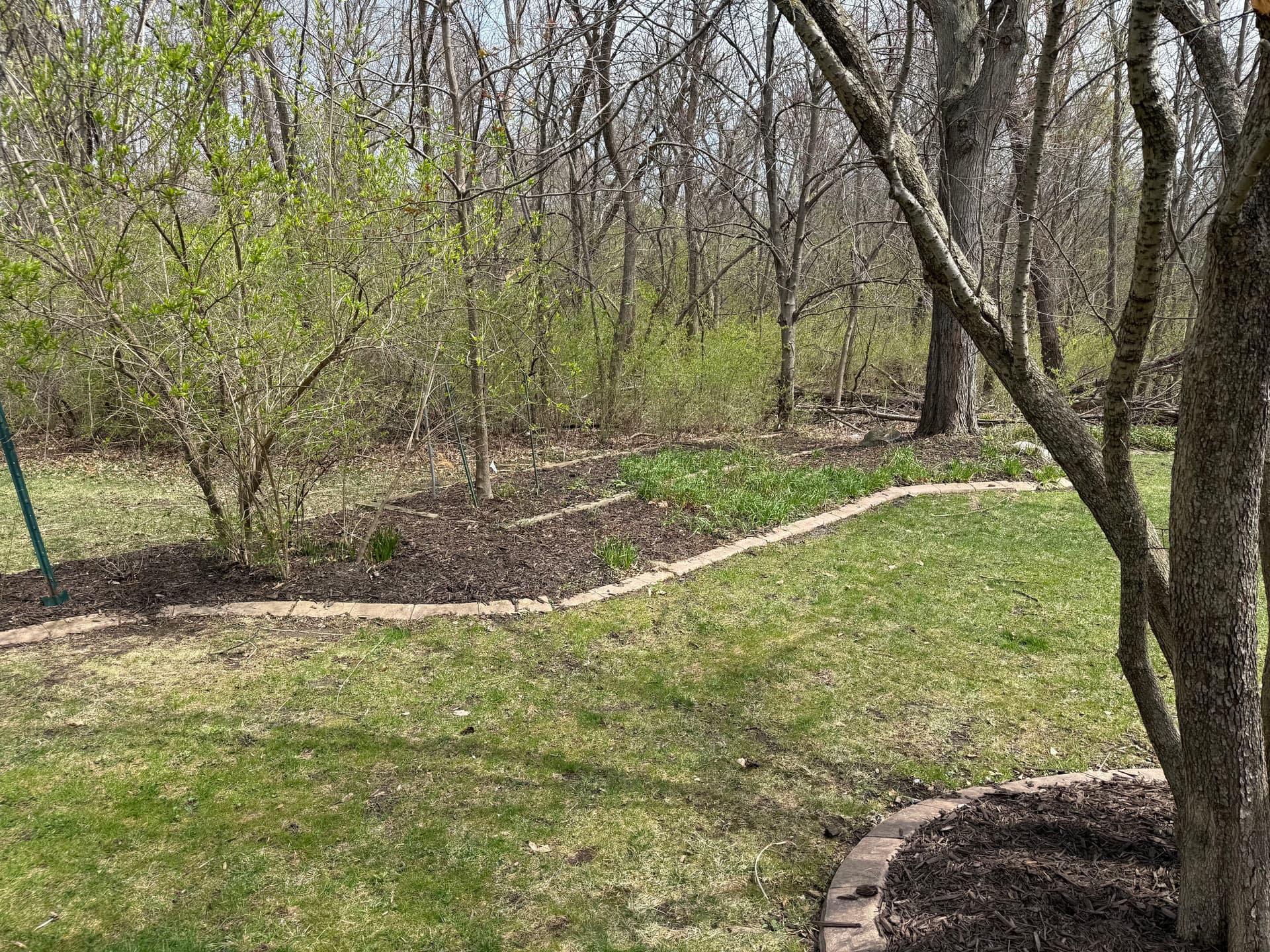 Gallery photos for Full Bed Tear-Out Spring Cleanup and Re-Mulch in West Des Moines: Image #4