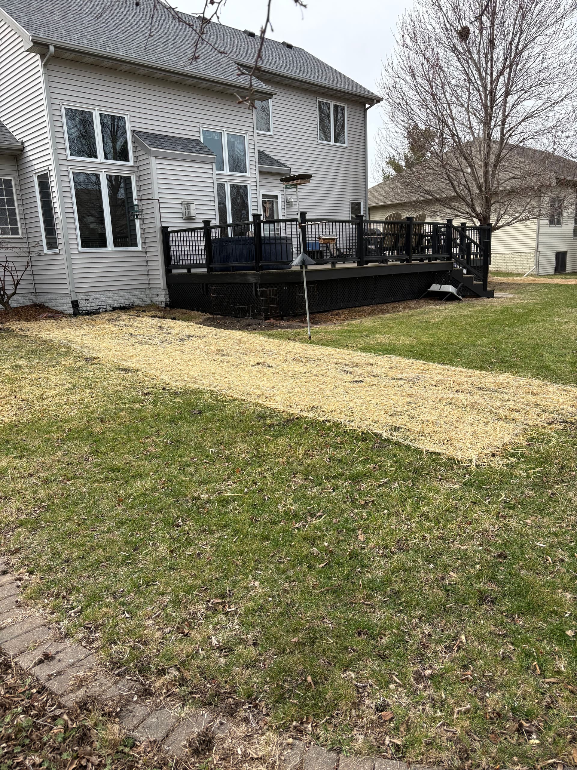 Gallery photos for French Drain Install, Grading Fix and Full Lawn Restoration: Image #5