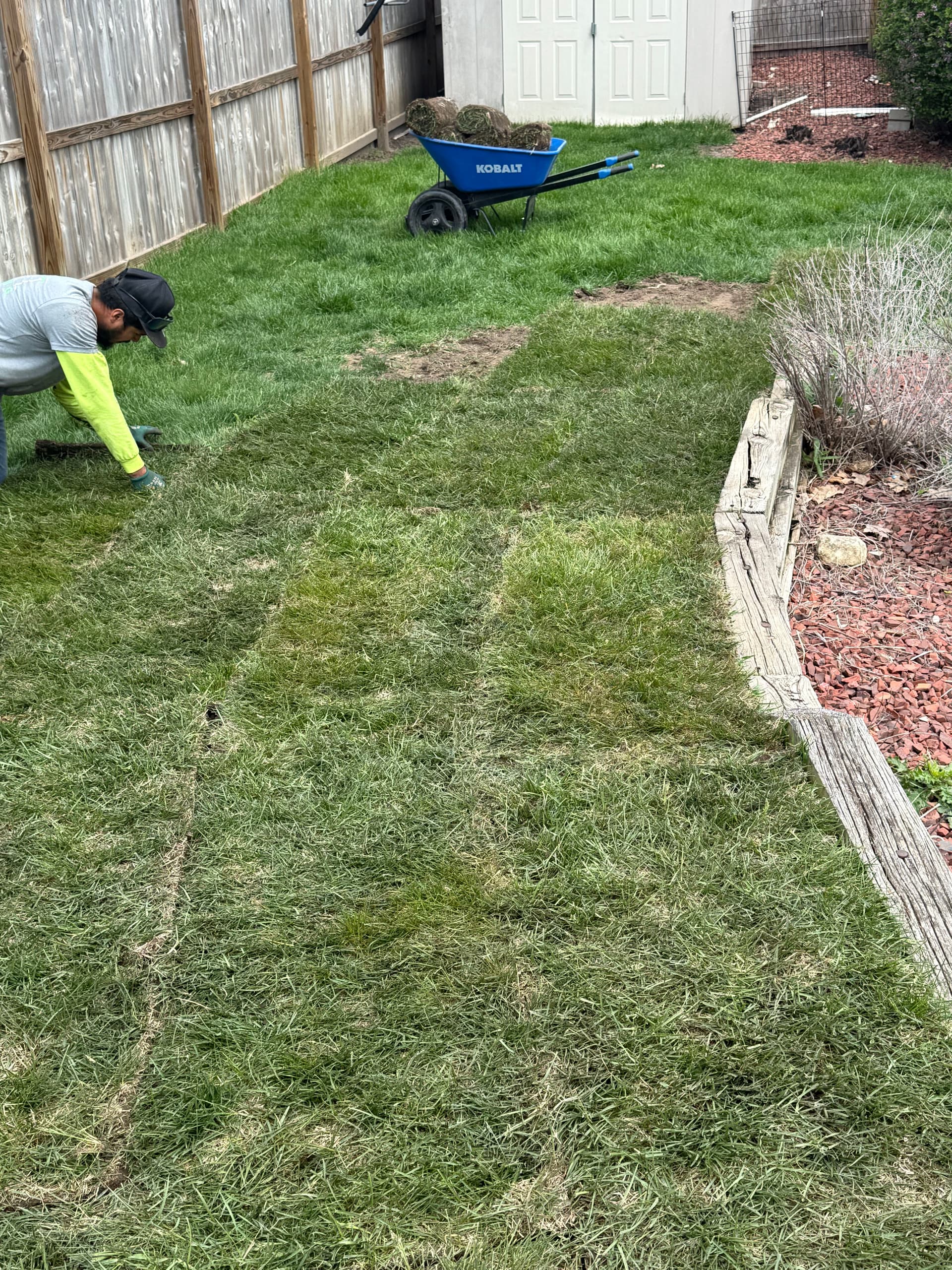 Lawn Repair and Sod Installation After a Wet Spring image