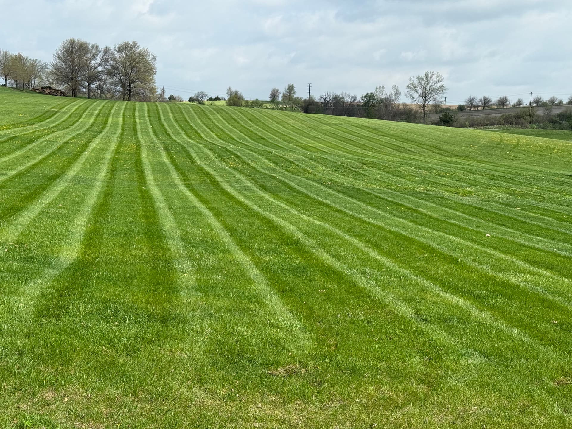 Gallery photos for Weekly Lawn Mowing on a 35-Acre Lot in Norwalk Iowa: Image #1