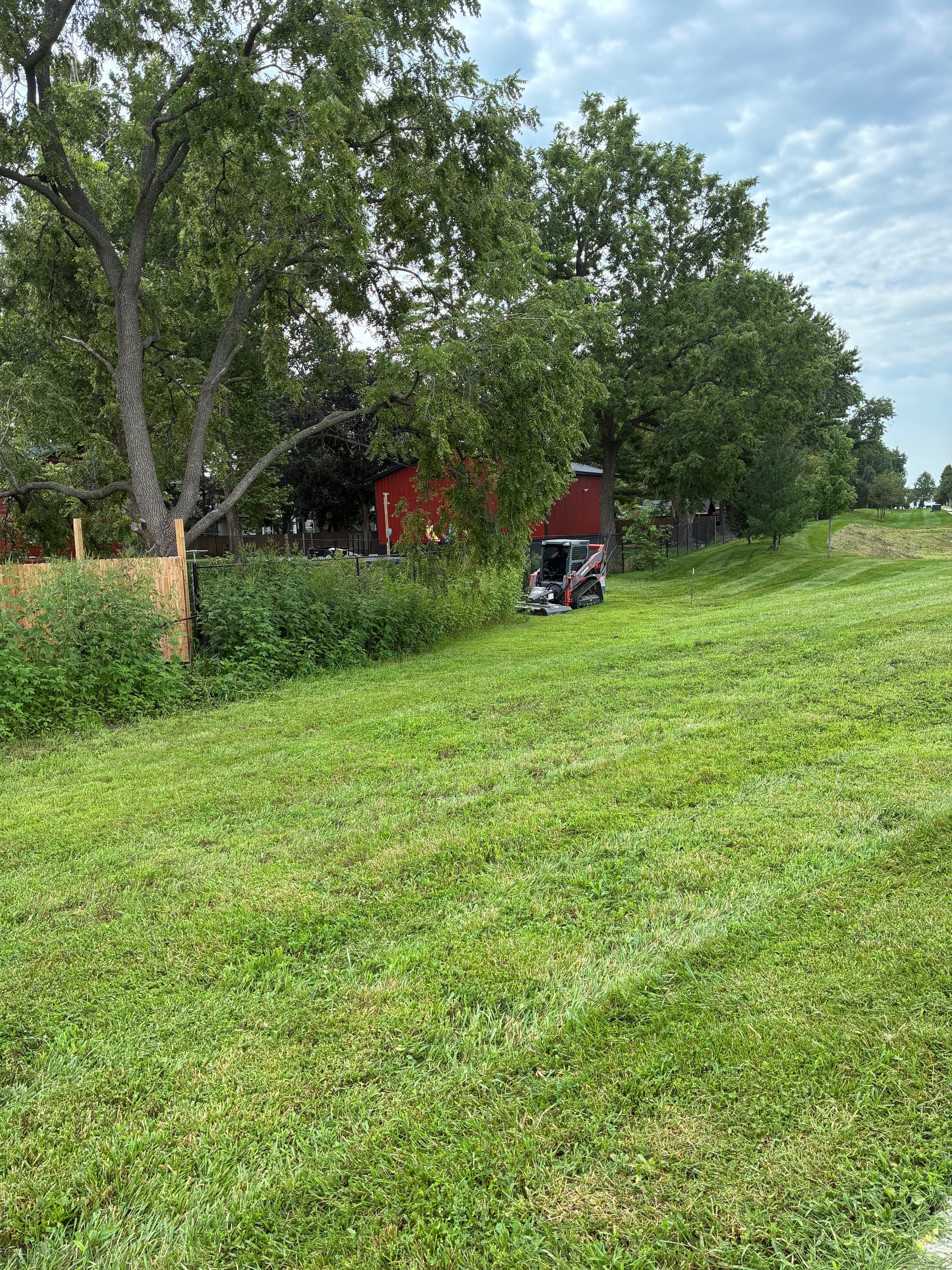 Gallery photos for HOA Common Area Brush Hogging Done Right: Image #1