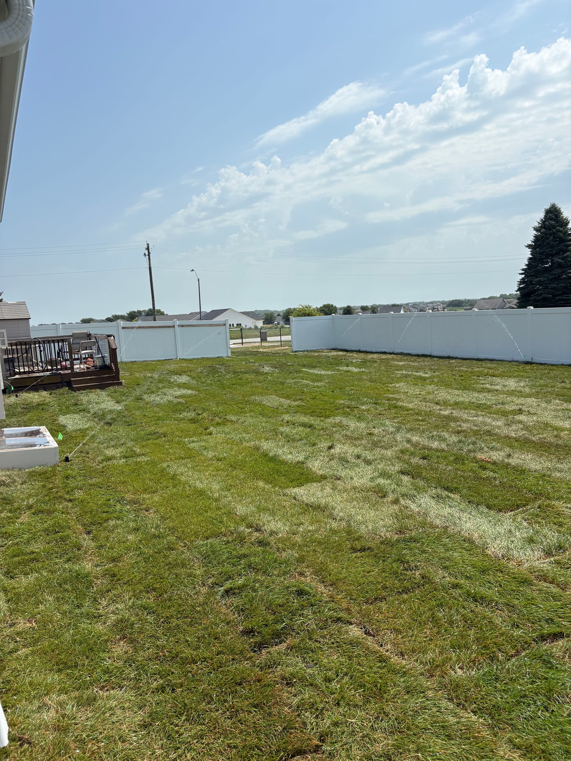 Gallery photos for Full Backyard Sod Install With Regrading and Sprinkler Work: Image #2