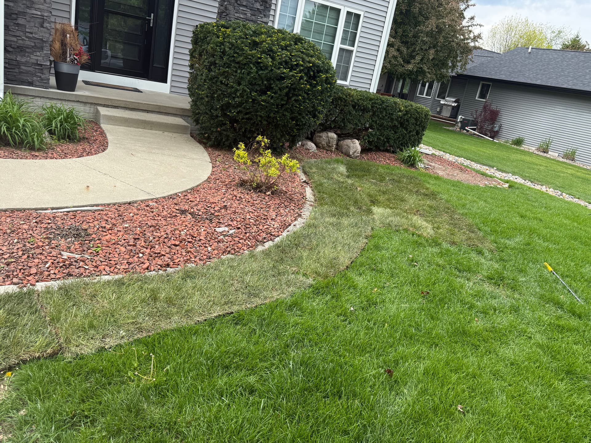Gallery photos for Lawn Repair and Sod Installation After a Wet Spring: Image #2