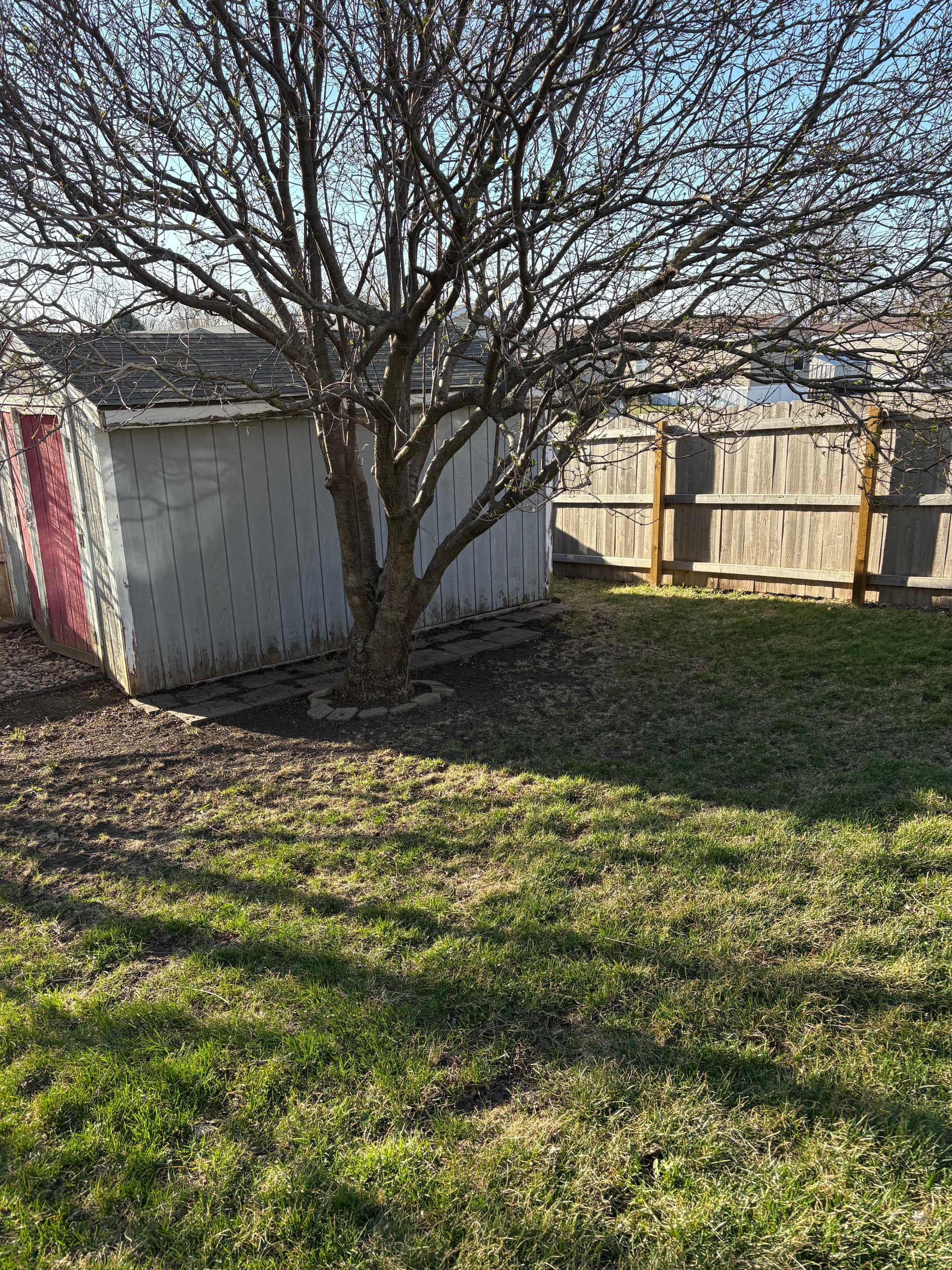 Waukee Backyard Spring Cleanup Done Right Before Listing