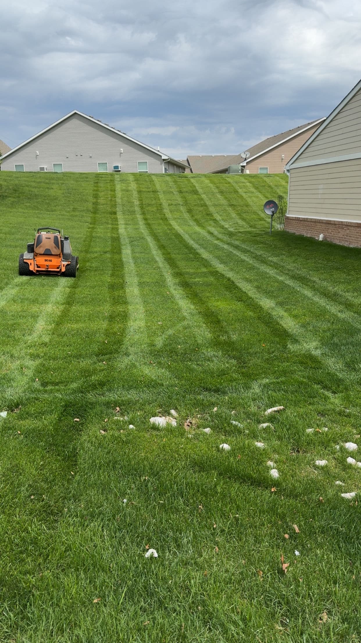 Gallery photos for Clean Stripes and a Head Start Before the Rain: Image #2