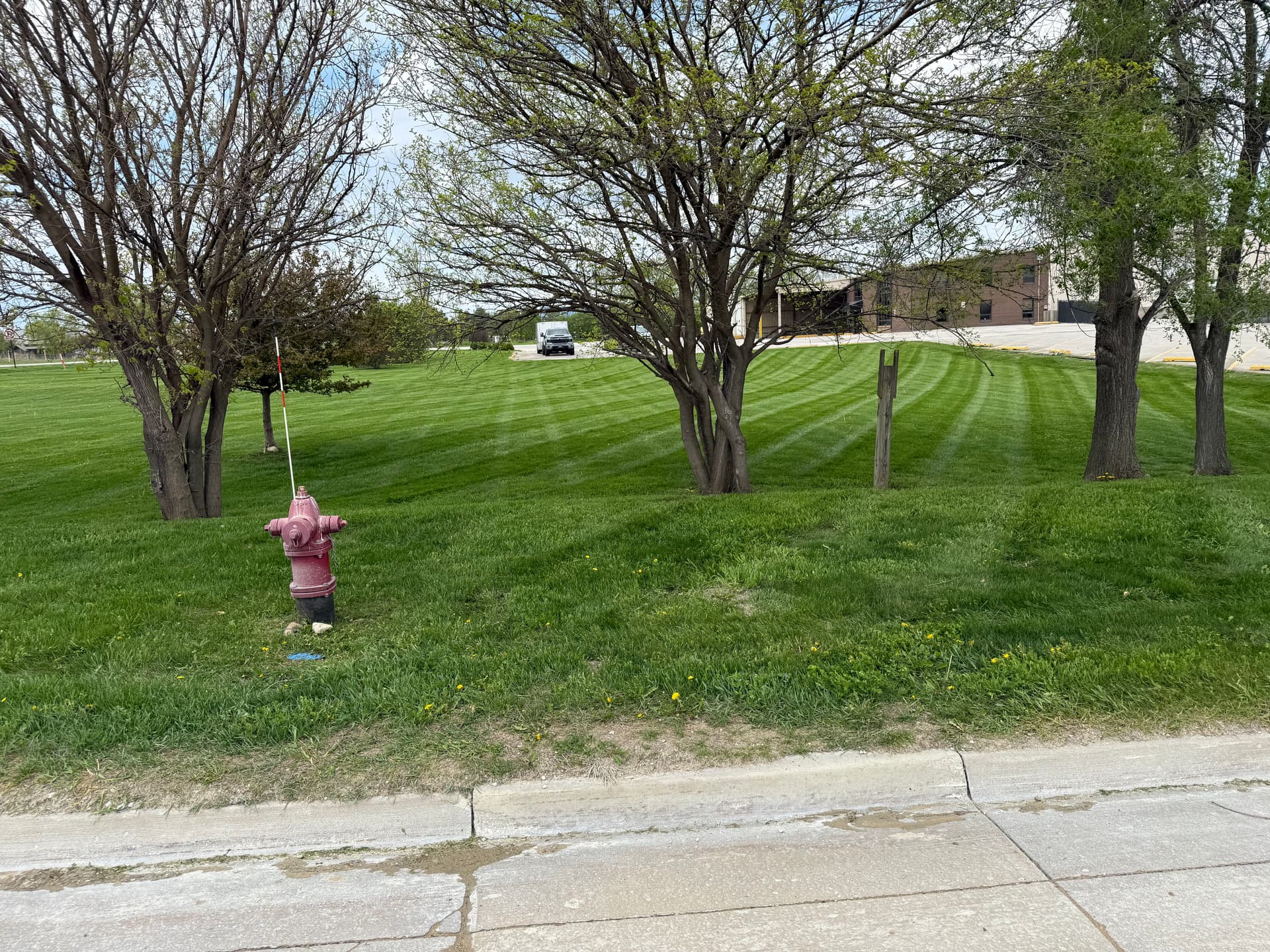 Gallery photos for Clean Stripes and Sharp Edges at Our Grimes Commercial Property: Image #3