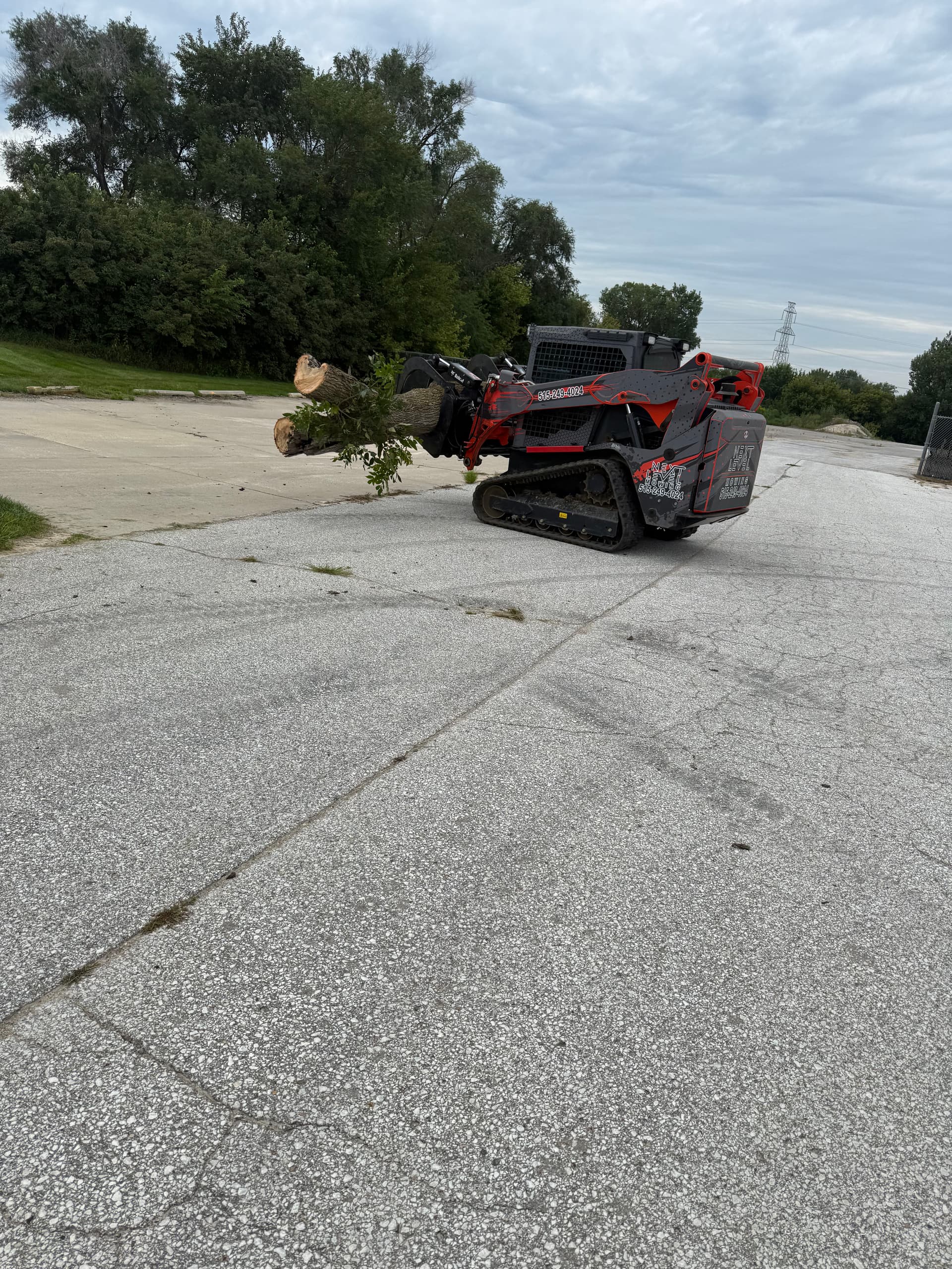 Gallery photos for Commercial Tree Removal Done Right - Safe and Efficient: Image #1