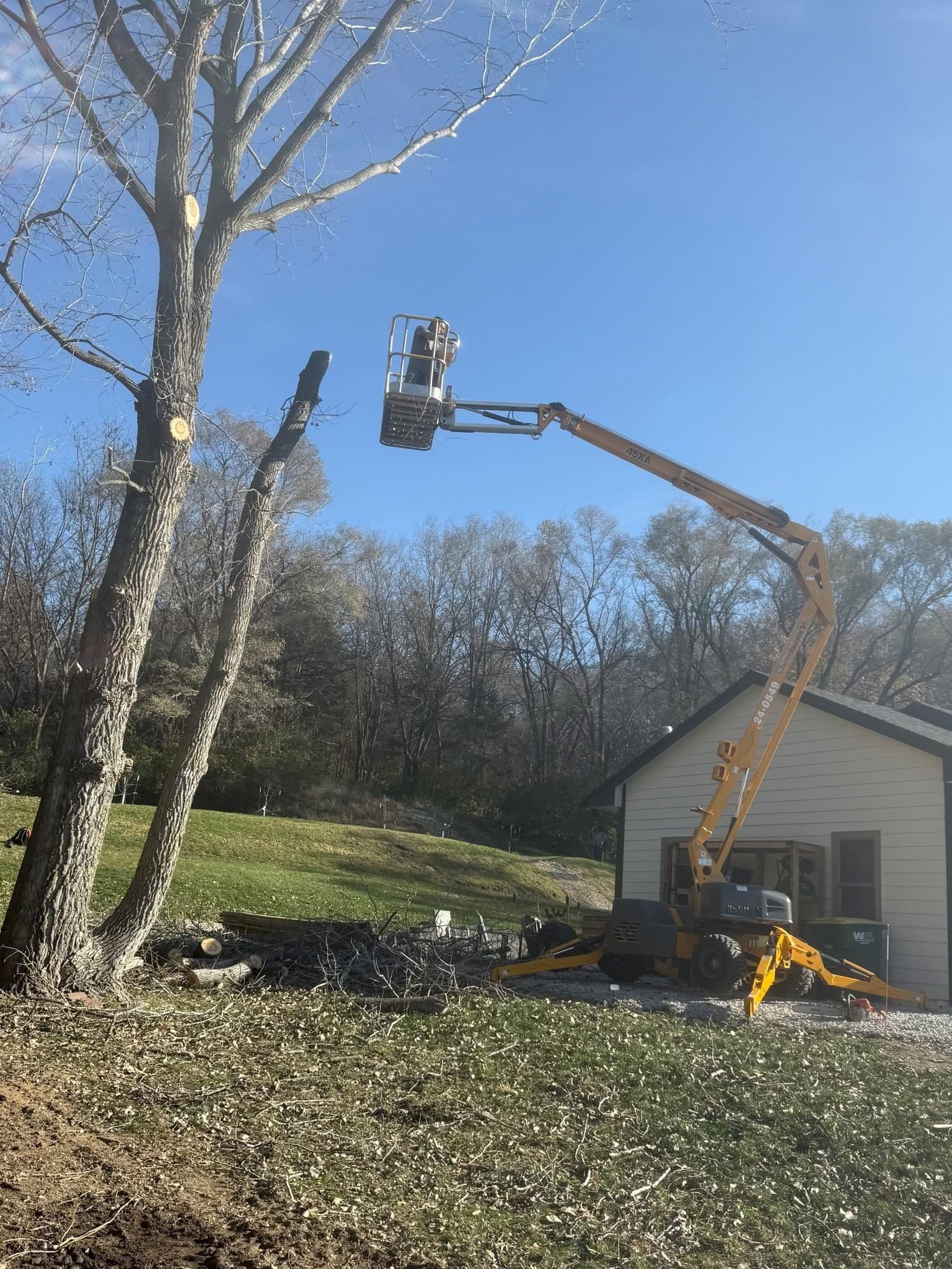Project 12 Tree Removal Job for a Retail Client Start to Finish image