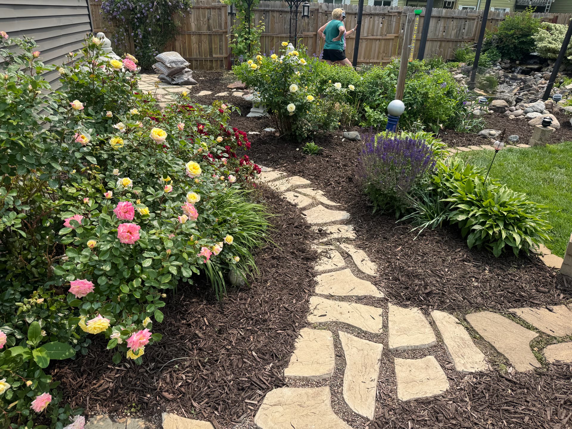 Gallery photos for Overgrown Backyard Cleaned Up and Made Market Ready: Image #1