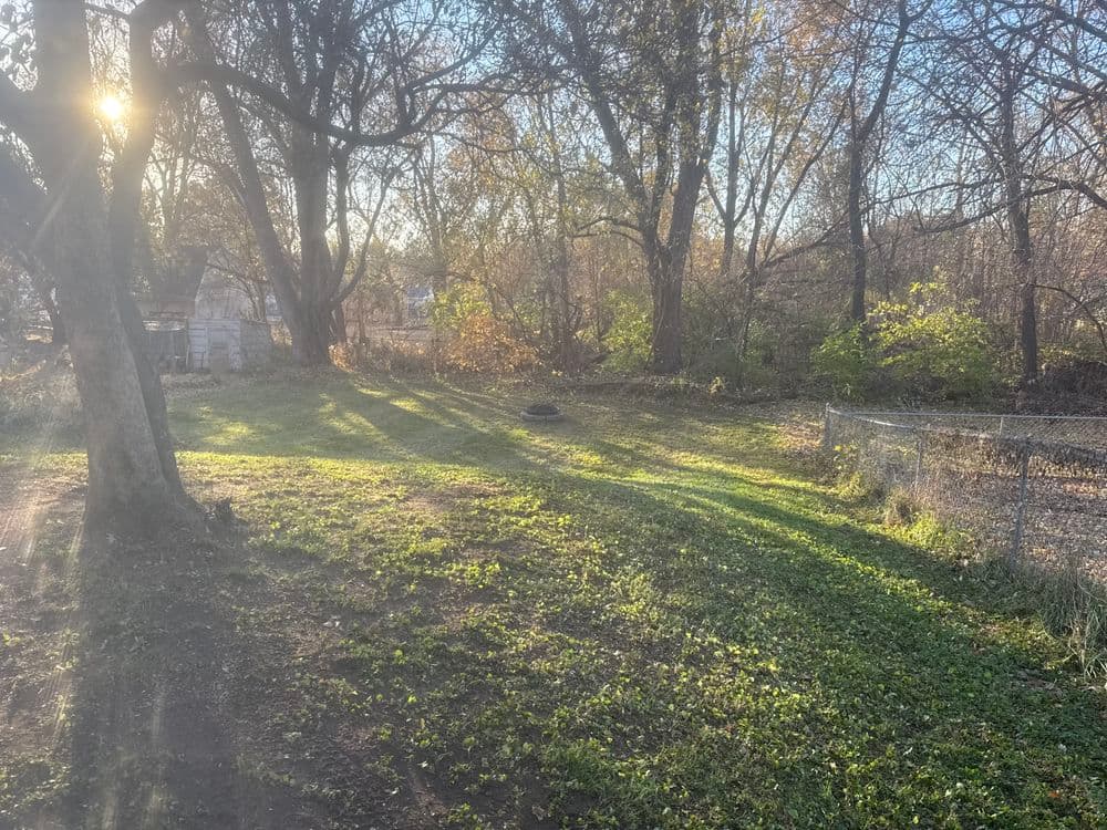 Spring & Fall Clean-Up image